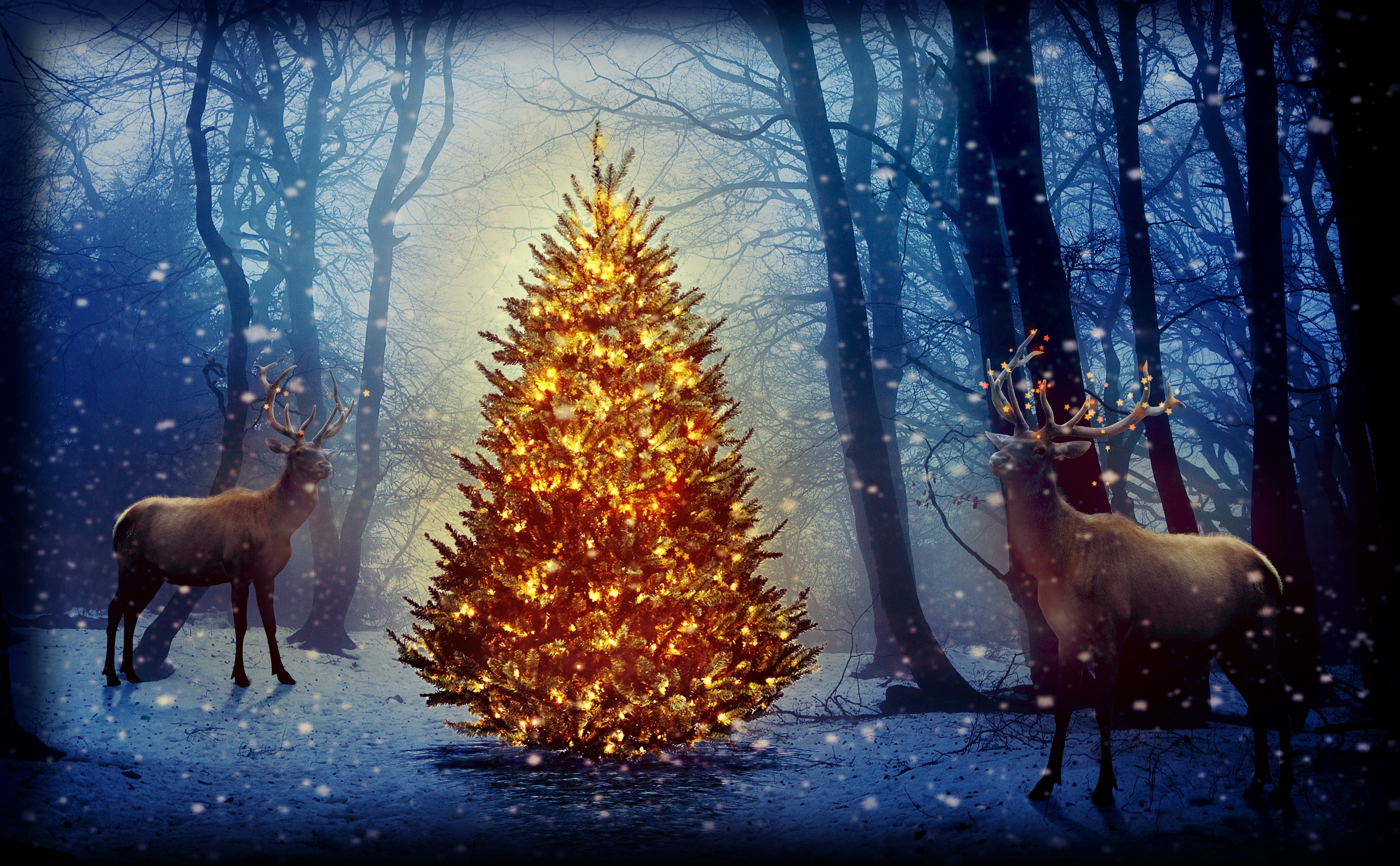Deer and Christmas tree in a snowy forest HD Wallpaper