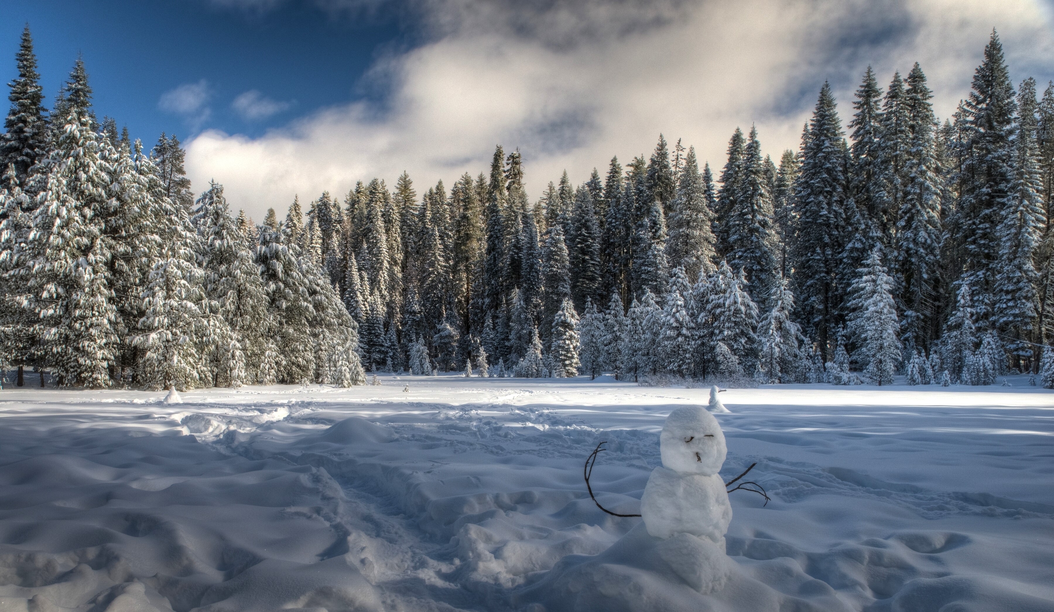 Snowman in a Snowy Forest in Yosemite National Park HD Wallpaper