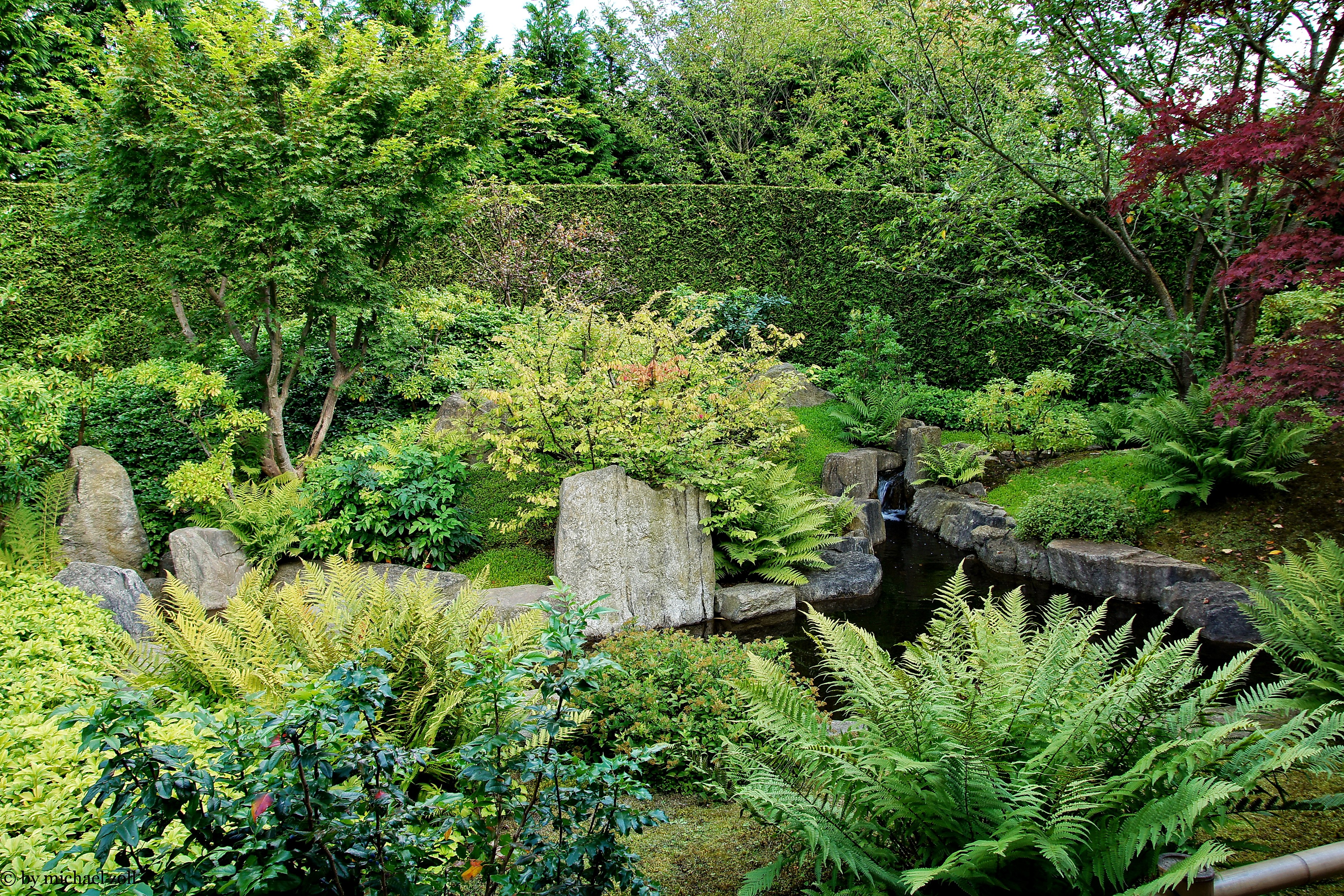 Japanese garden with pond and waterfall in Britzer Garten, Germany HD Wallpaper