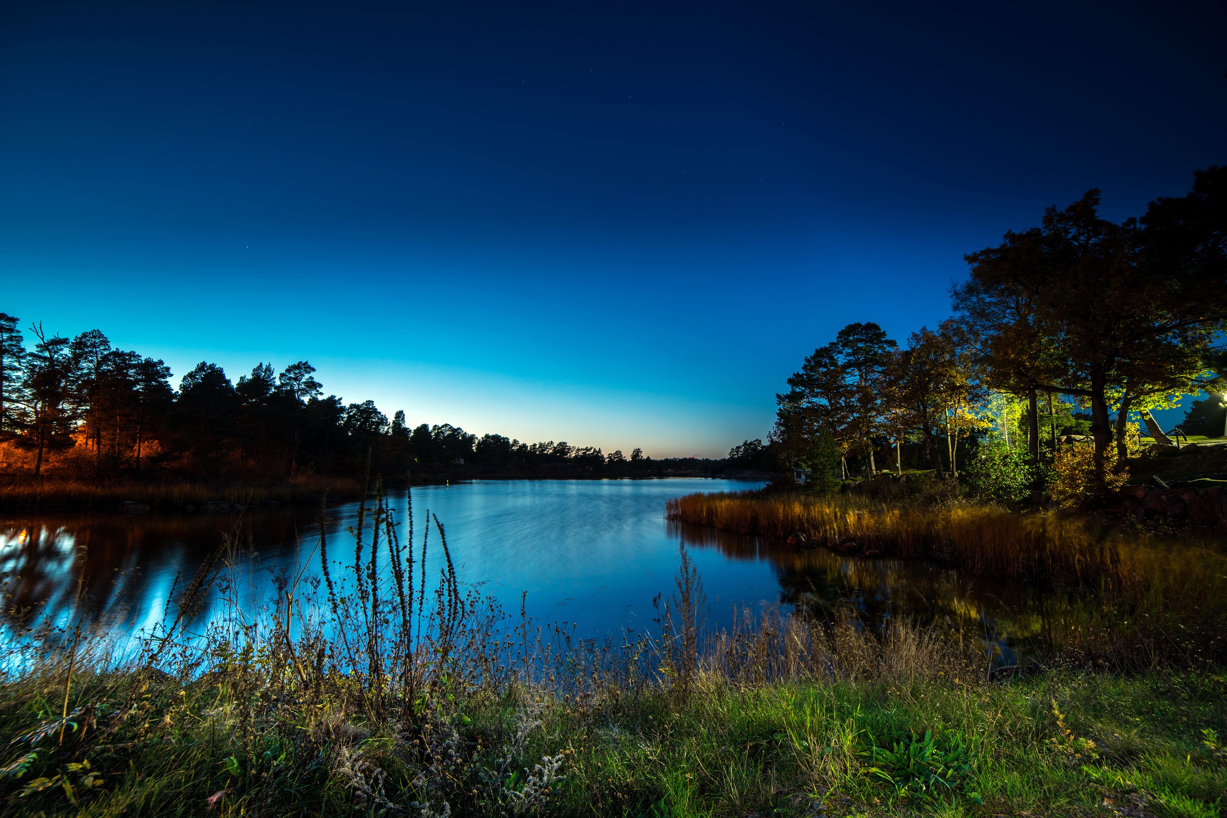 Night lake with trees and grass HD Wallpaper