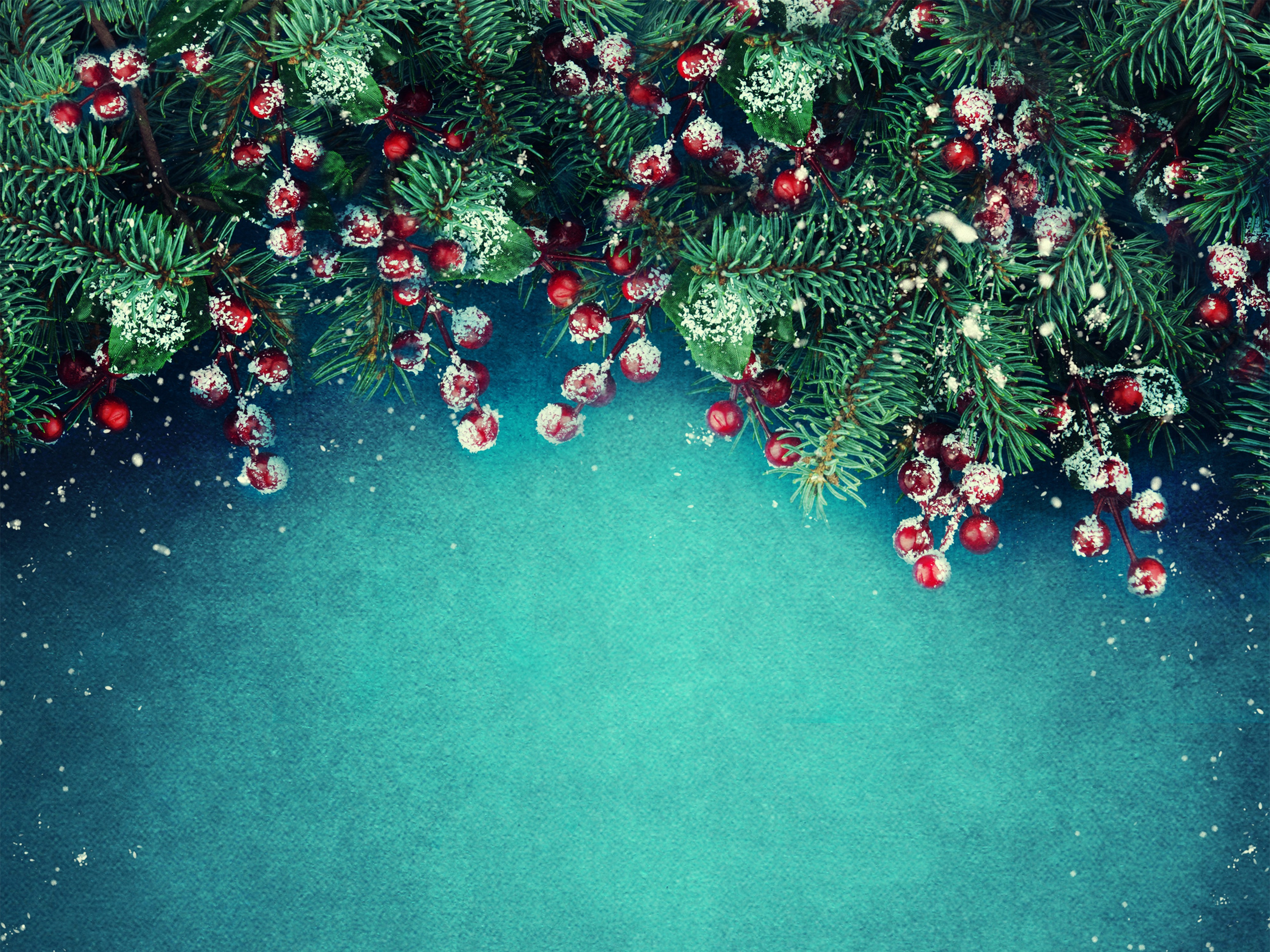 Christmas branches with red berries and snow HD Wallpaper