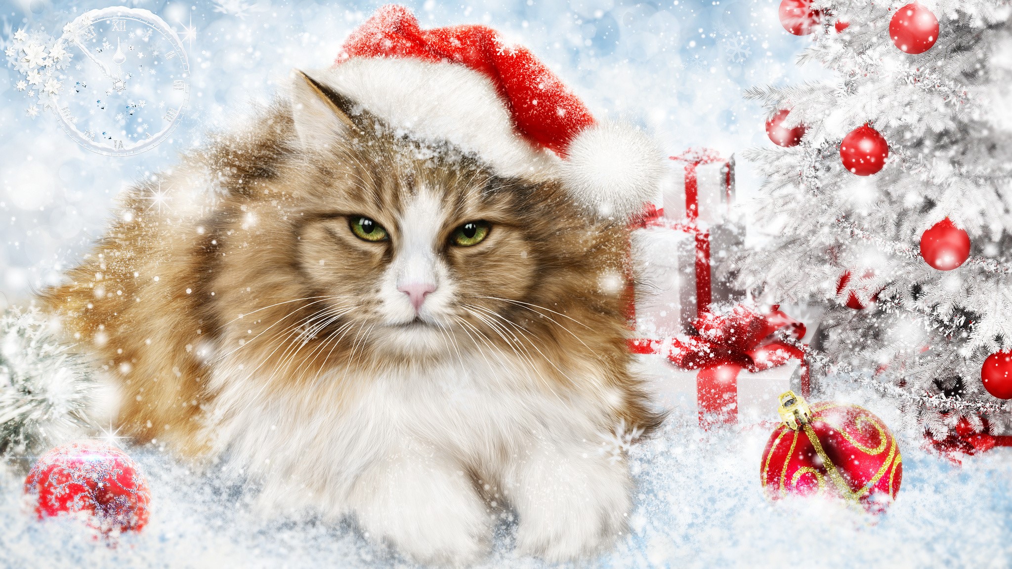 Cat in Santa hat with Christmas tree and gifts HD Wallpaper