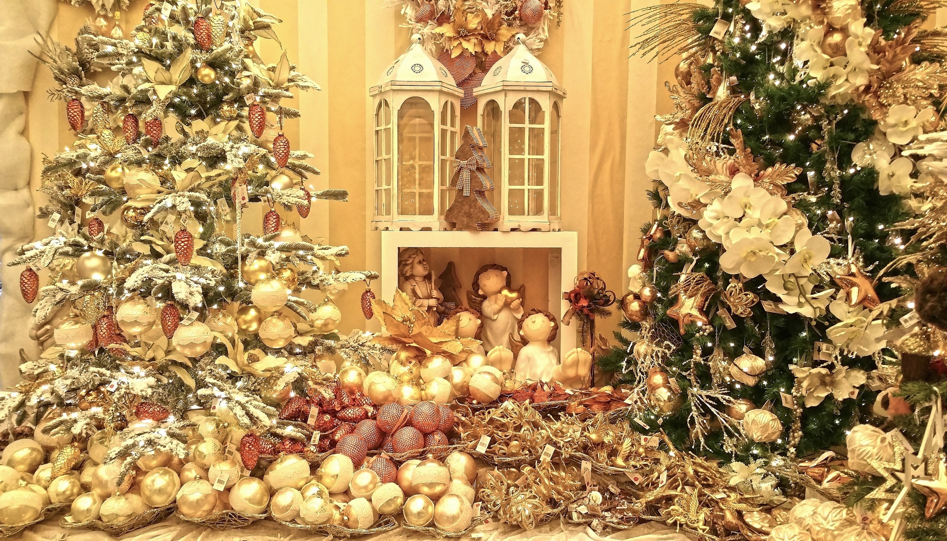 Christmas trees decorated with ornaments and fairy lights HD Wallpaper
