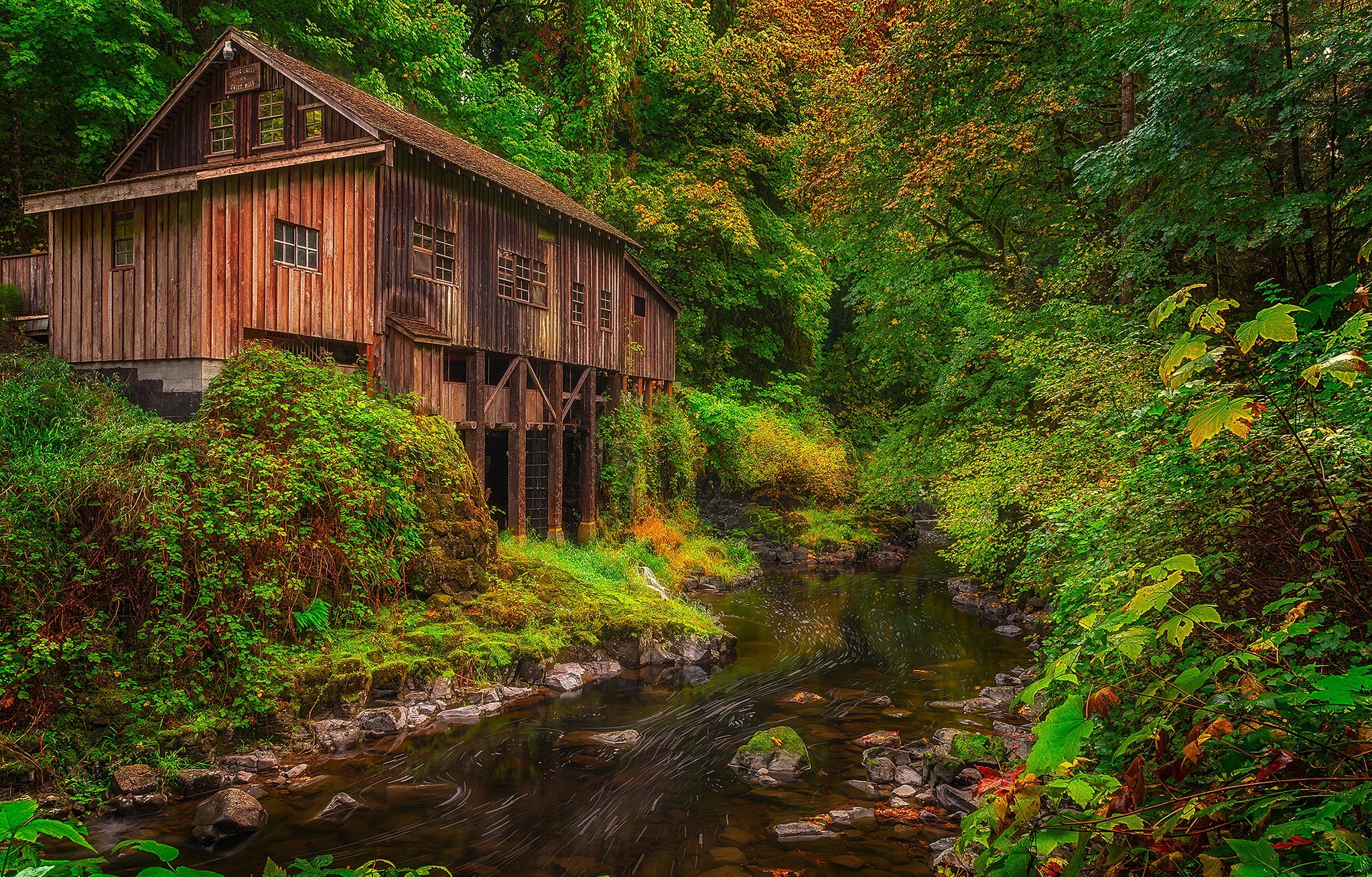 Cedar Creek Grist Mill in Washington Forest HD Wallpaper