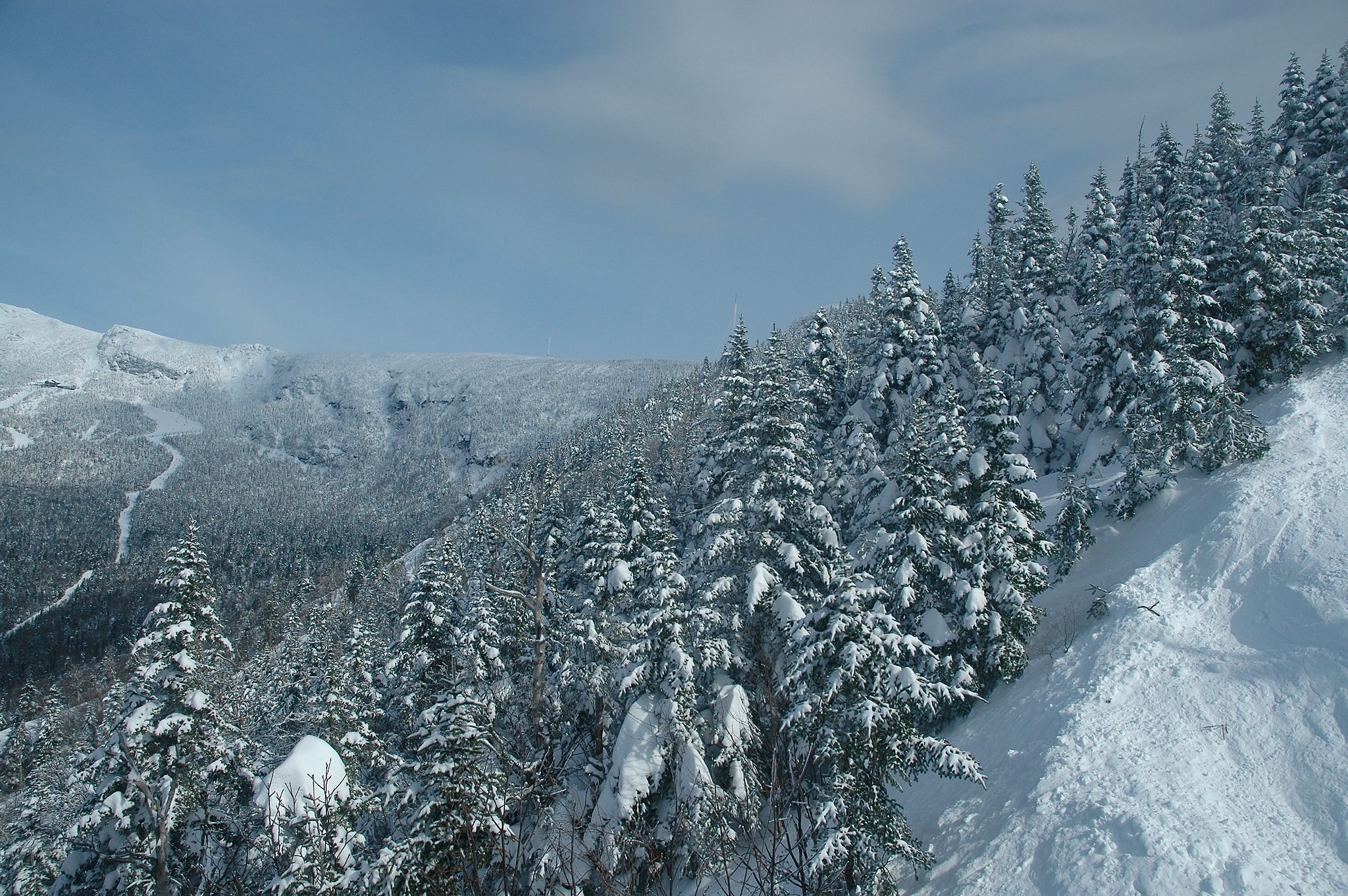 Snowy forest on Mount Mansfield, Stowe, Vermont HD Wallpaper