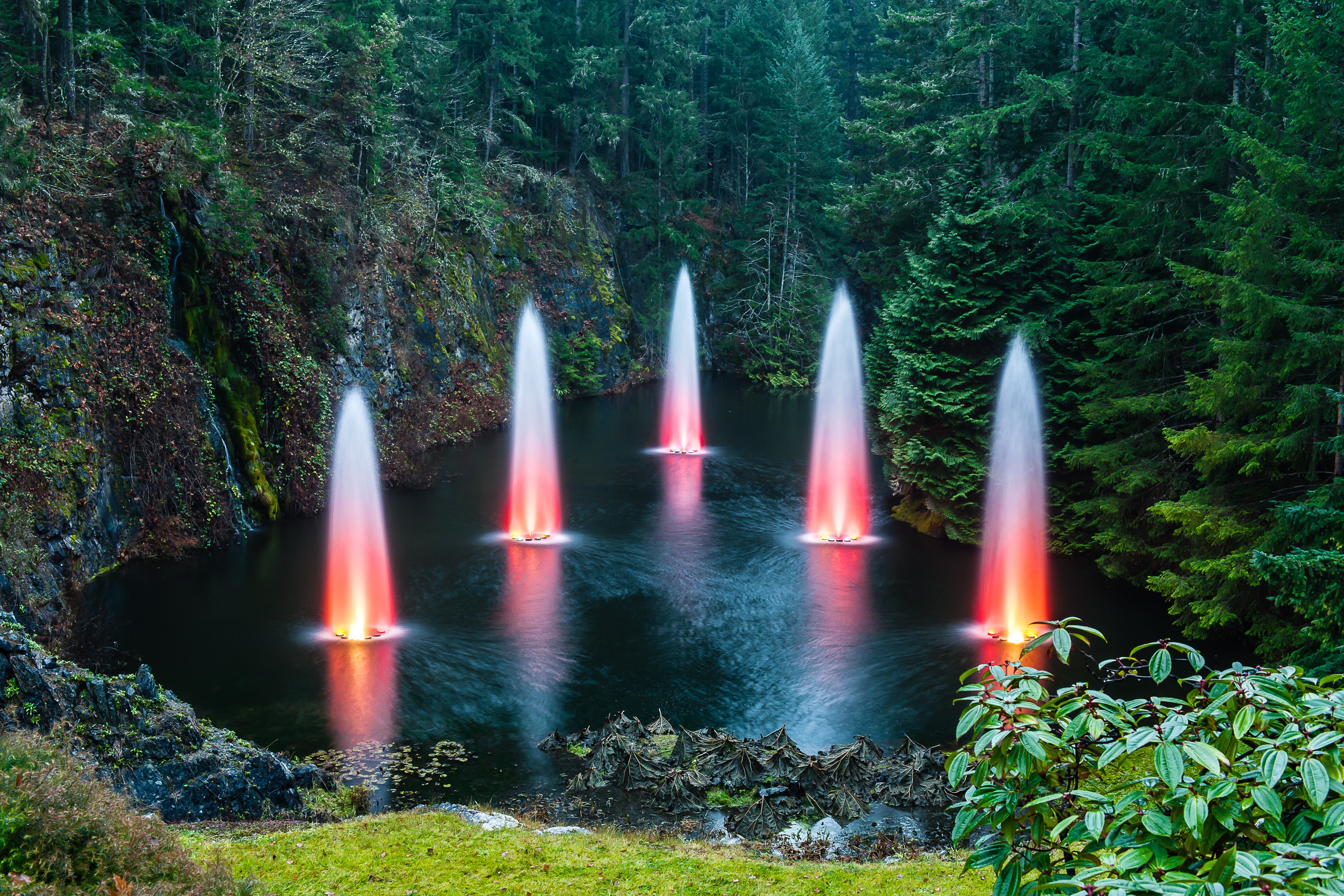 Fountains in a pond at Butchart Gardens, Canada HD Wallpaper