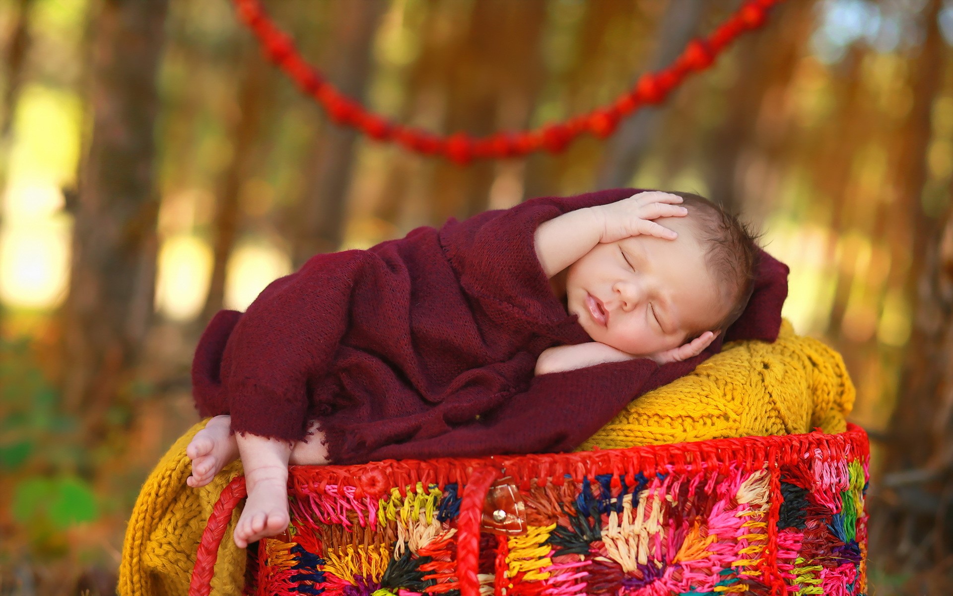Newborn baby sleeping in a basket outdoors HD Wallpaper
