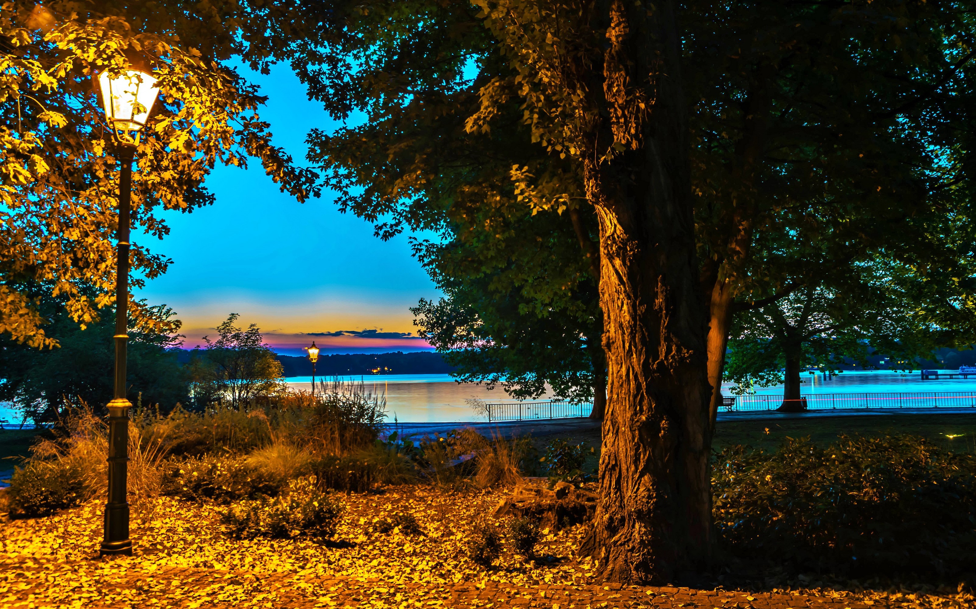 Park at night with street lights and a lake HD Wallpaper