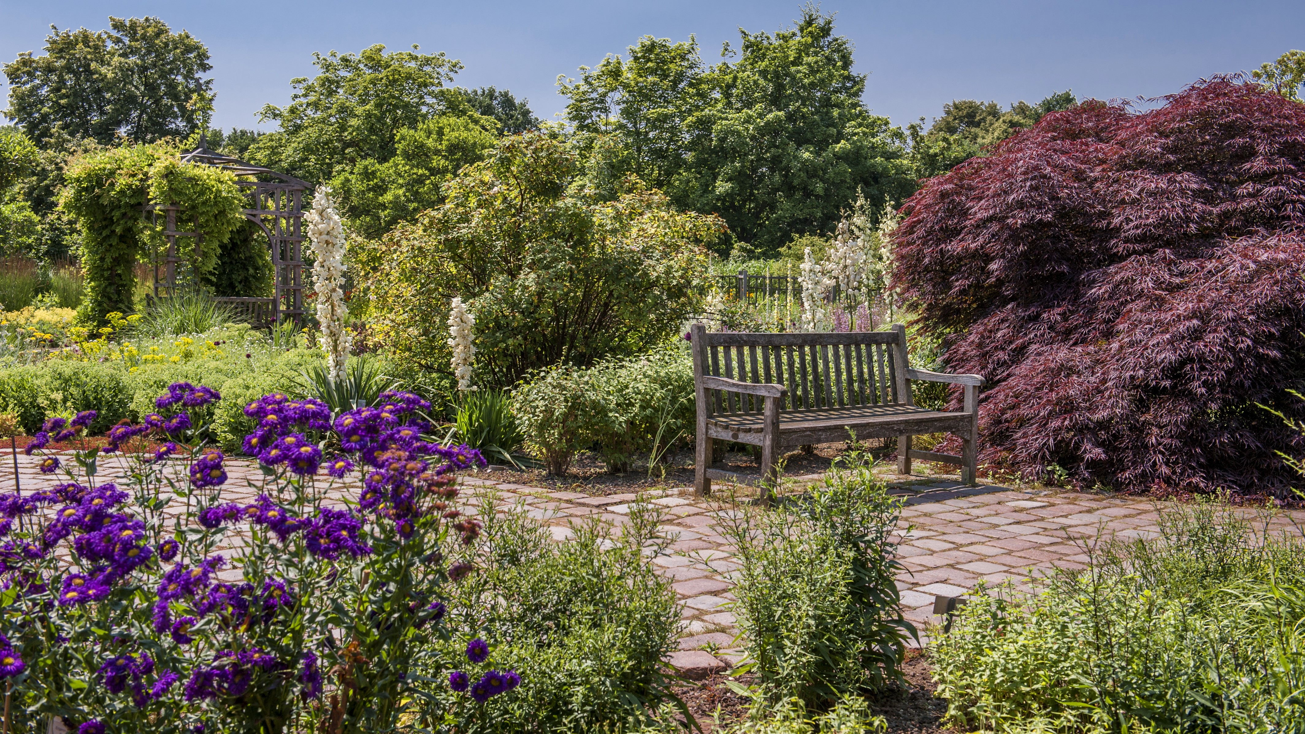 4K Britzer Garten Berlin Germany Bench Shrubs HD Wallpaper