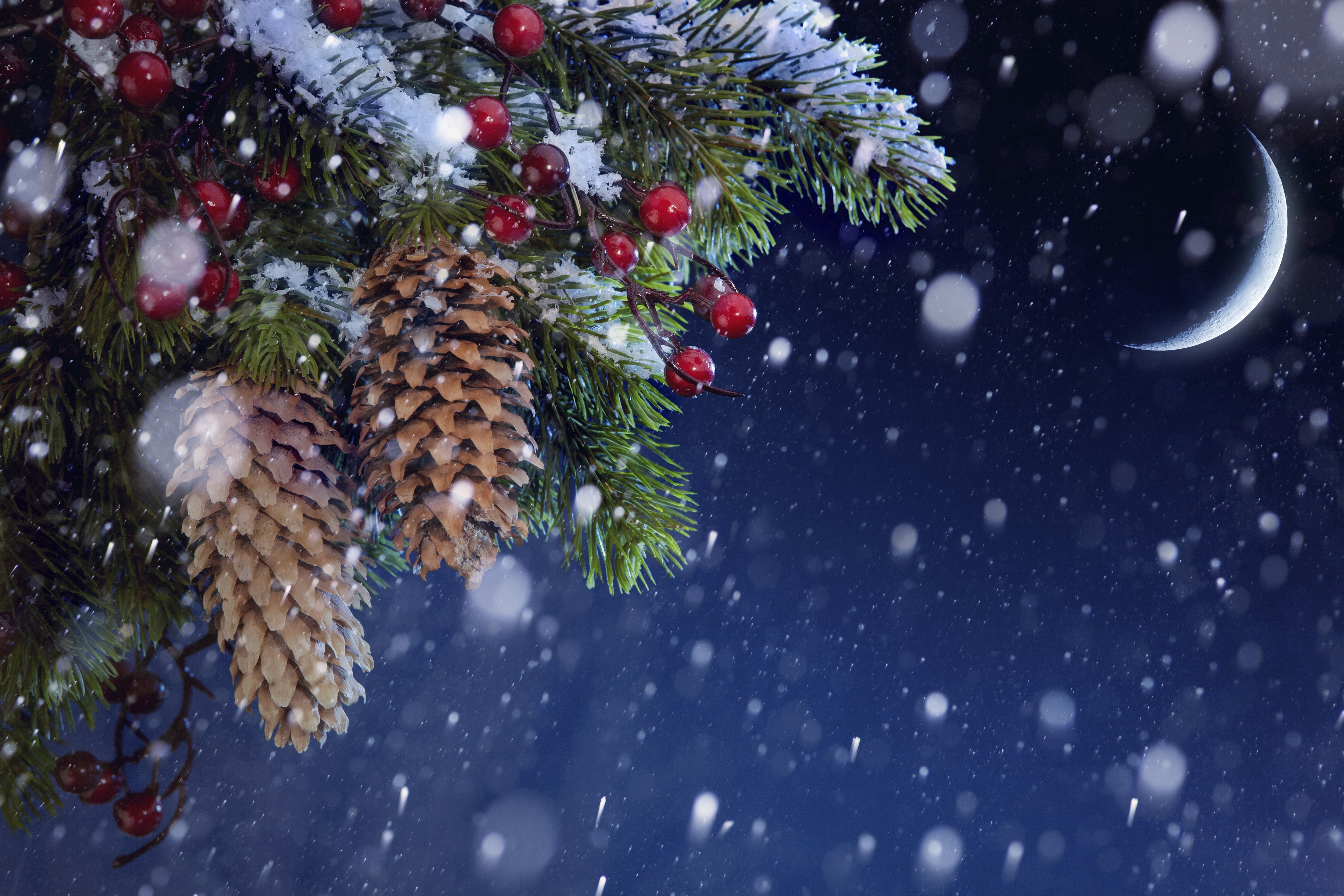 Christmas pine cones and berries with snow and crescent moon HD Wallpaper