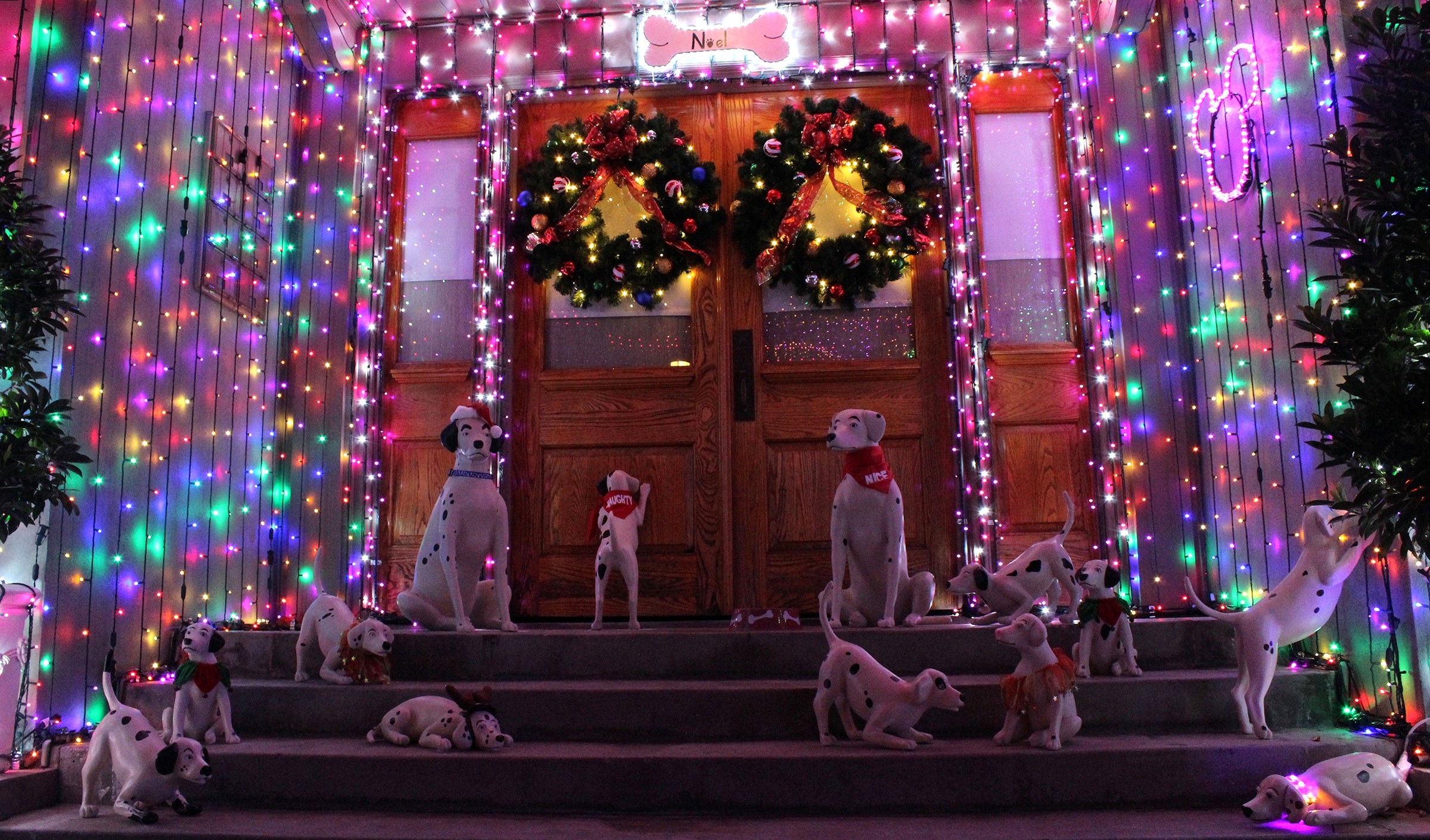 Dalmatian dogs and Christmas lights at Disneyland HD Wallpaper