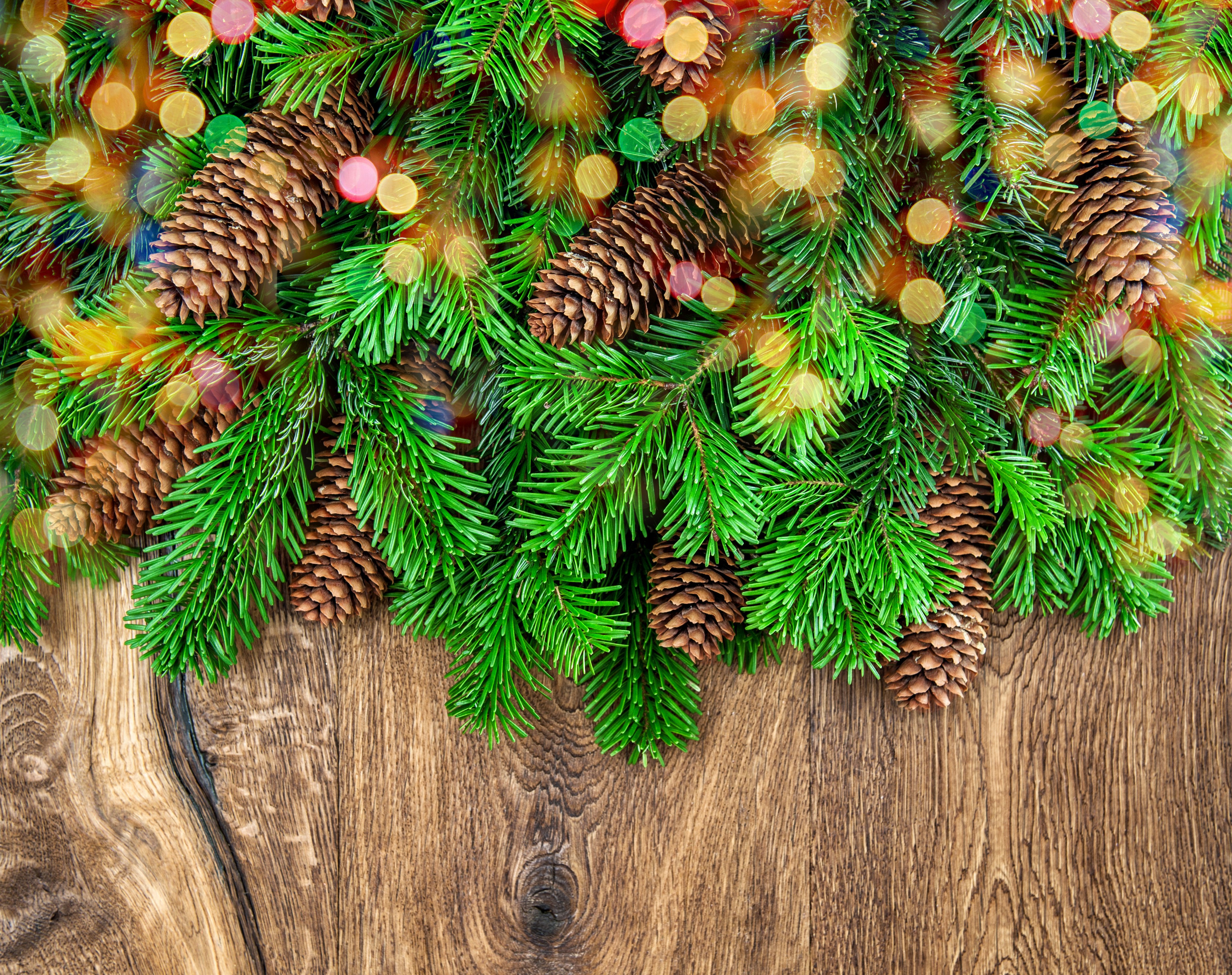 Christmas branches with pine cones and bokeh lights on wood HD Wallpaper