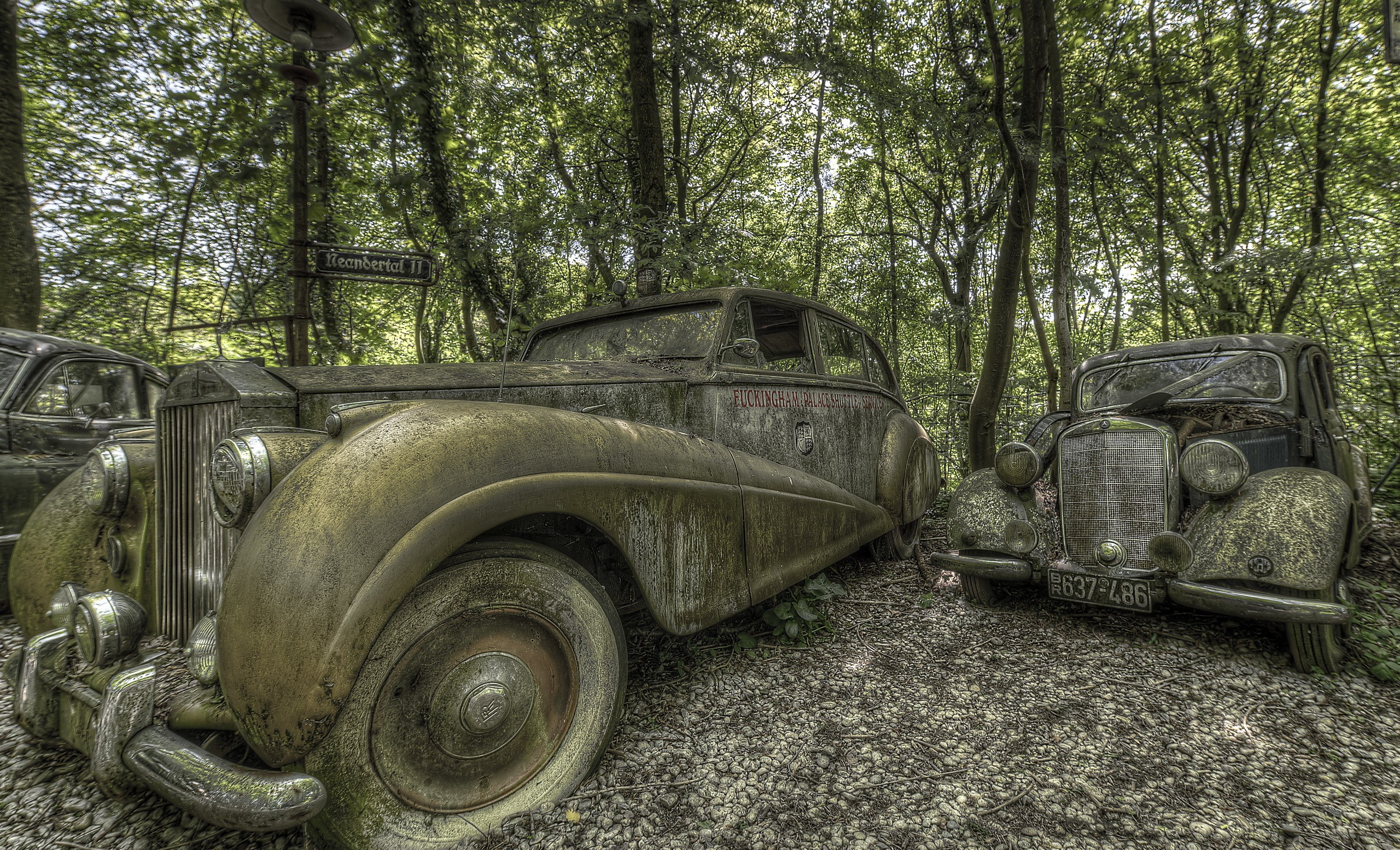 Abandoned vintage cars in a forest HD Wallpaper