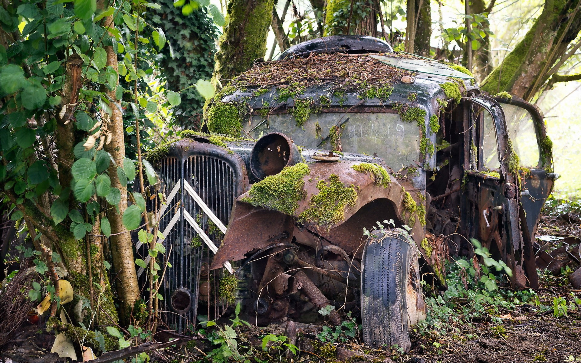 Abandoned Citroën car overgrown with moss in a forest HD Wallpaper