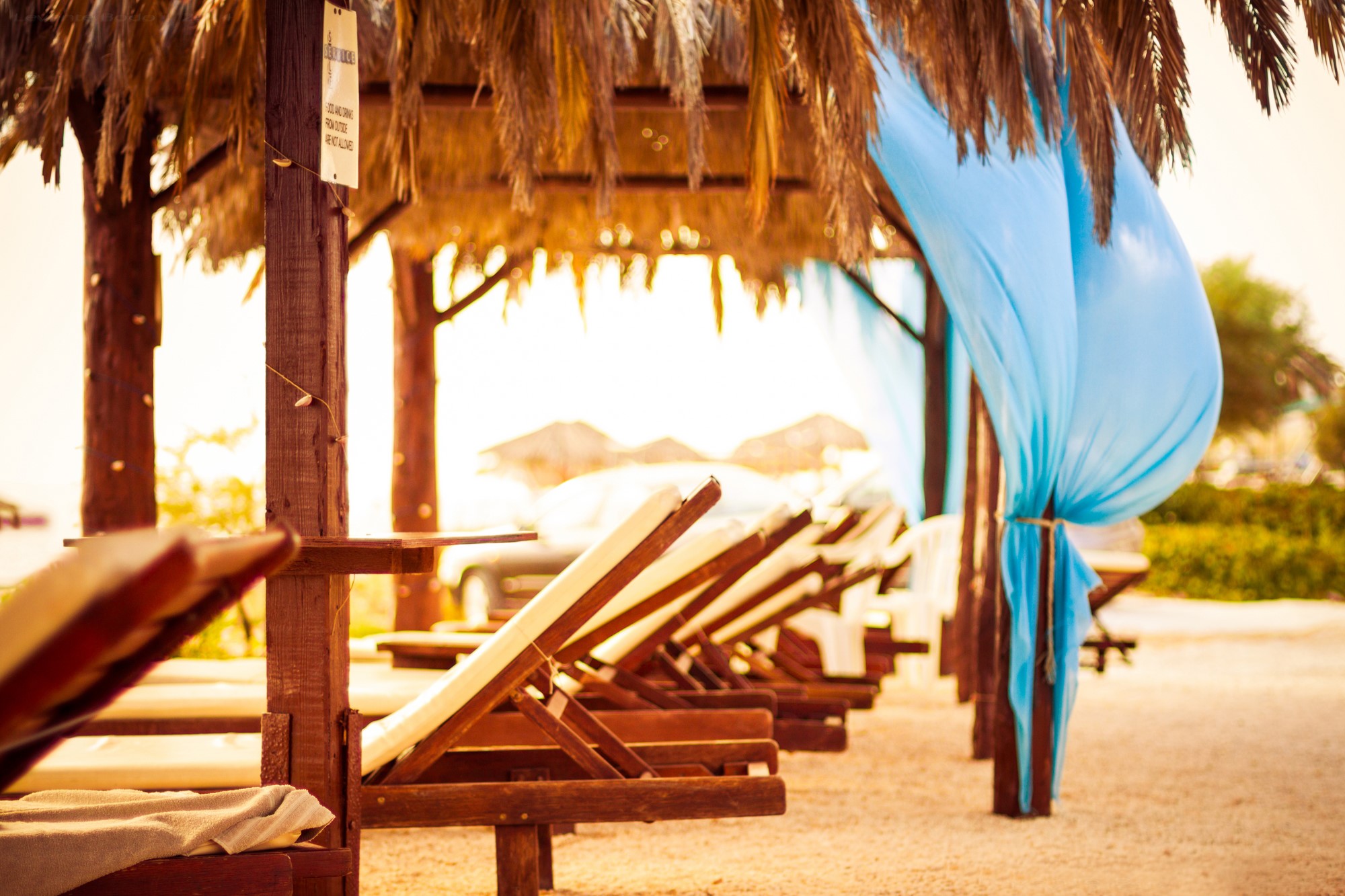Beach lounge chairs under palm fronds with blue drapes HD Wallpaper