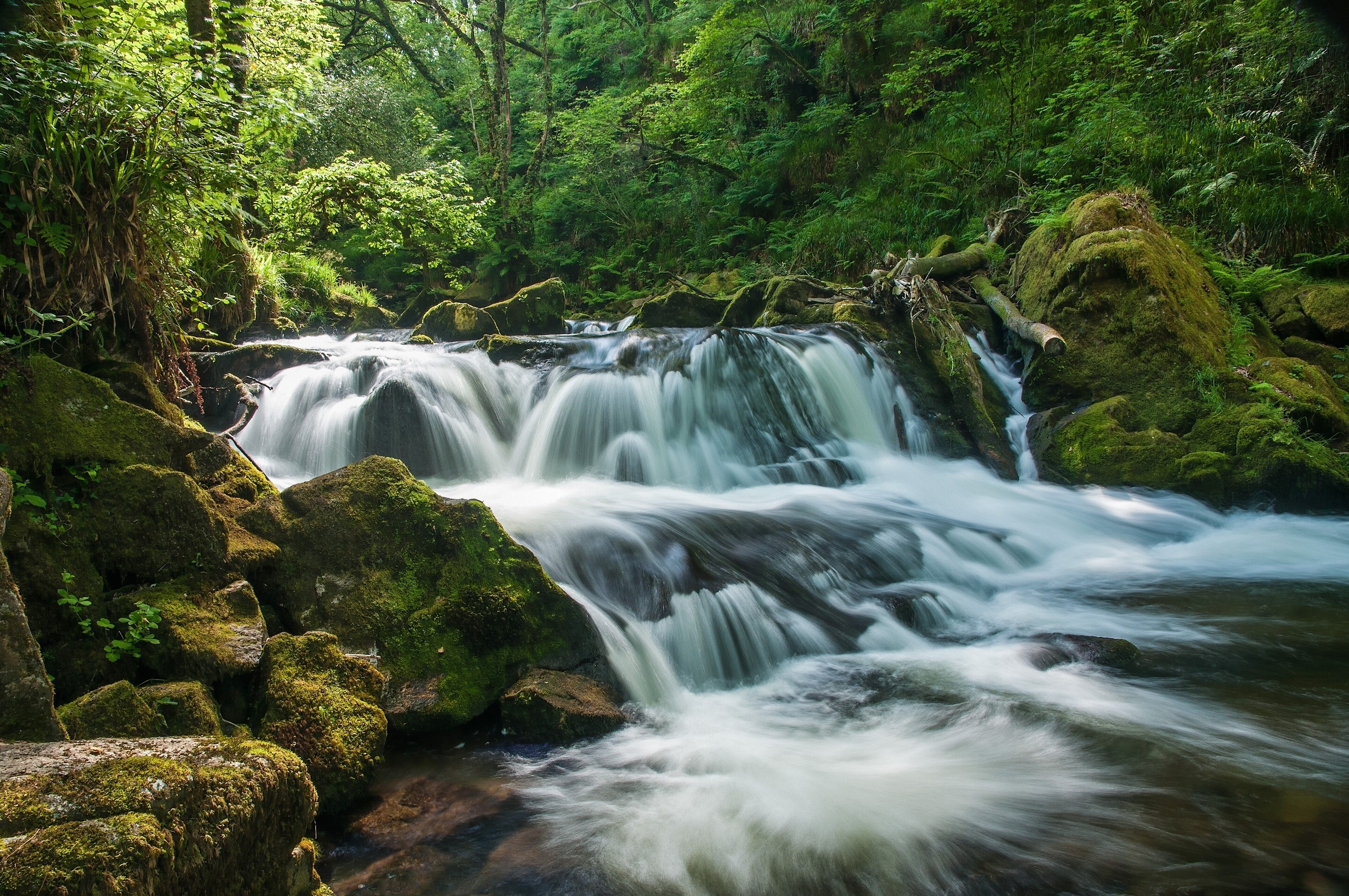 Golitha Falls River Fowey Cornwall England HD Wallpaper