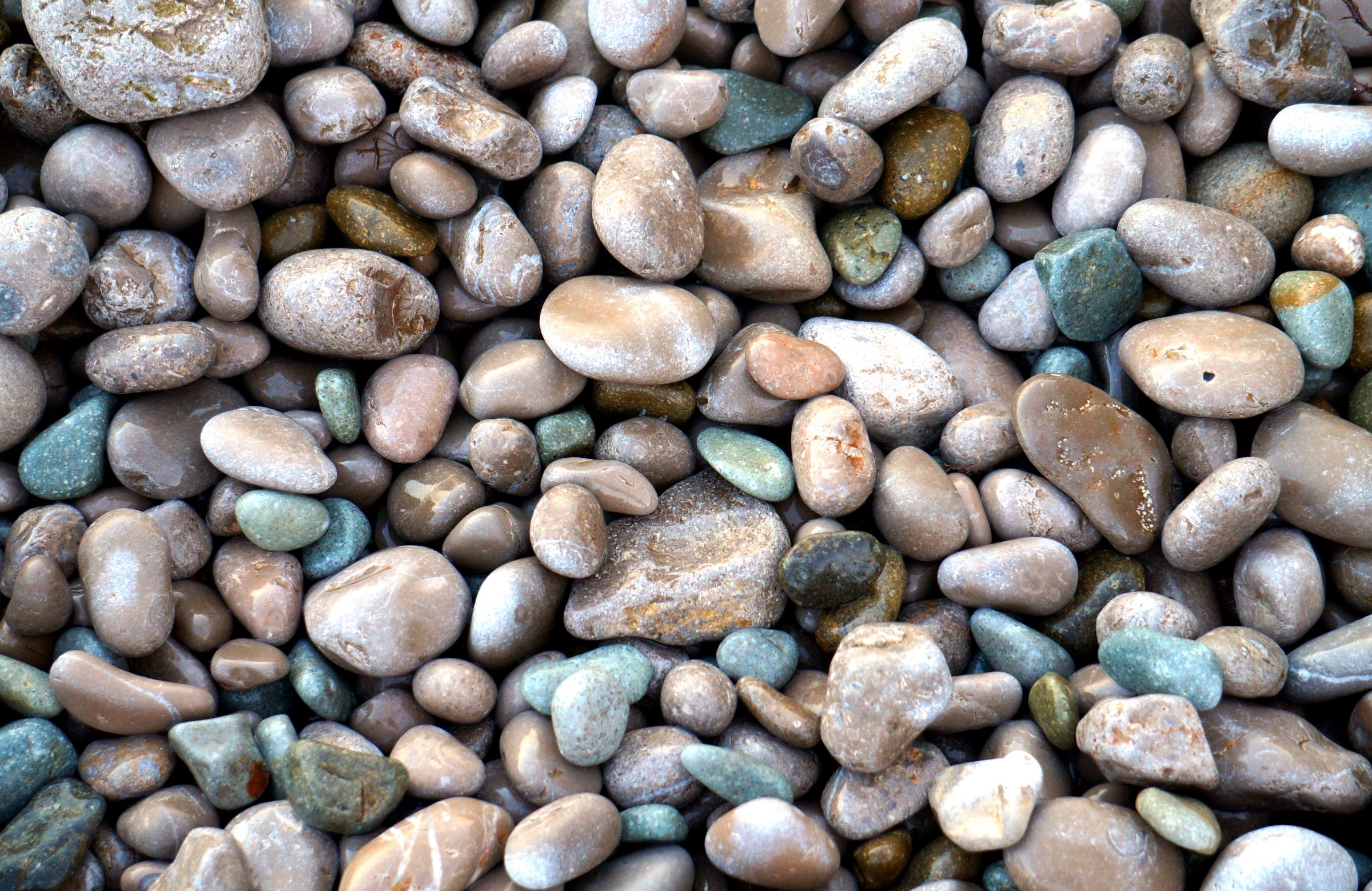 Close-up of wet and dry pebbles and stones HD Wallpaper
