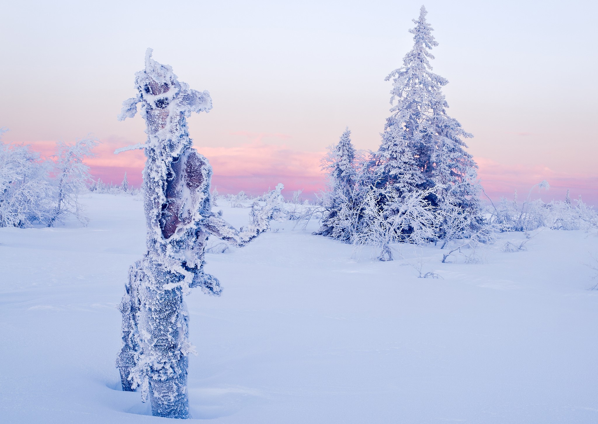 Winter landscape with frosted trees and a wooden post HD Wallpaper