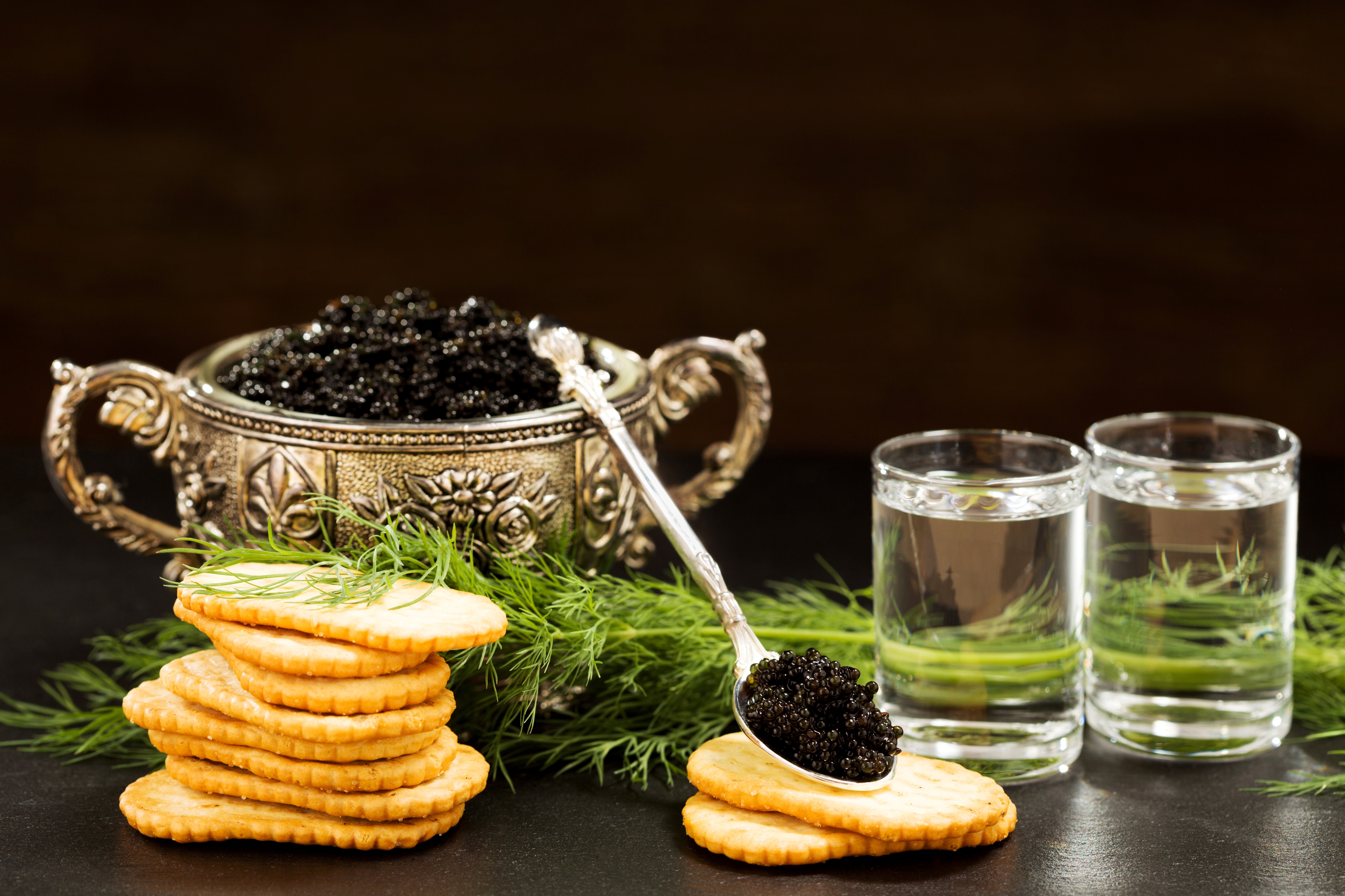 Caviar with Vodka, Dill, and Crackers HD Wallpaper