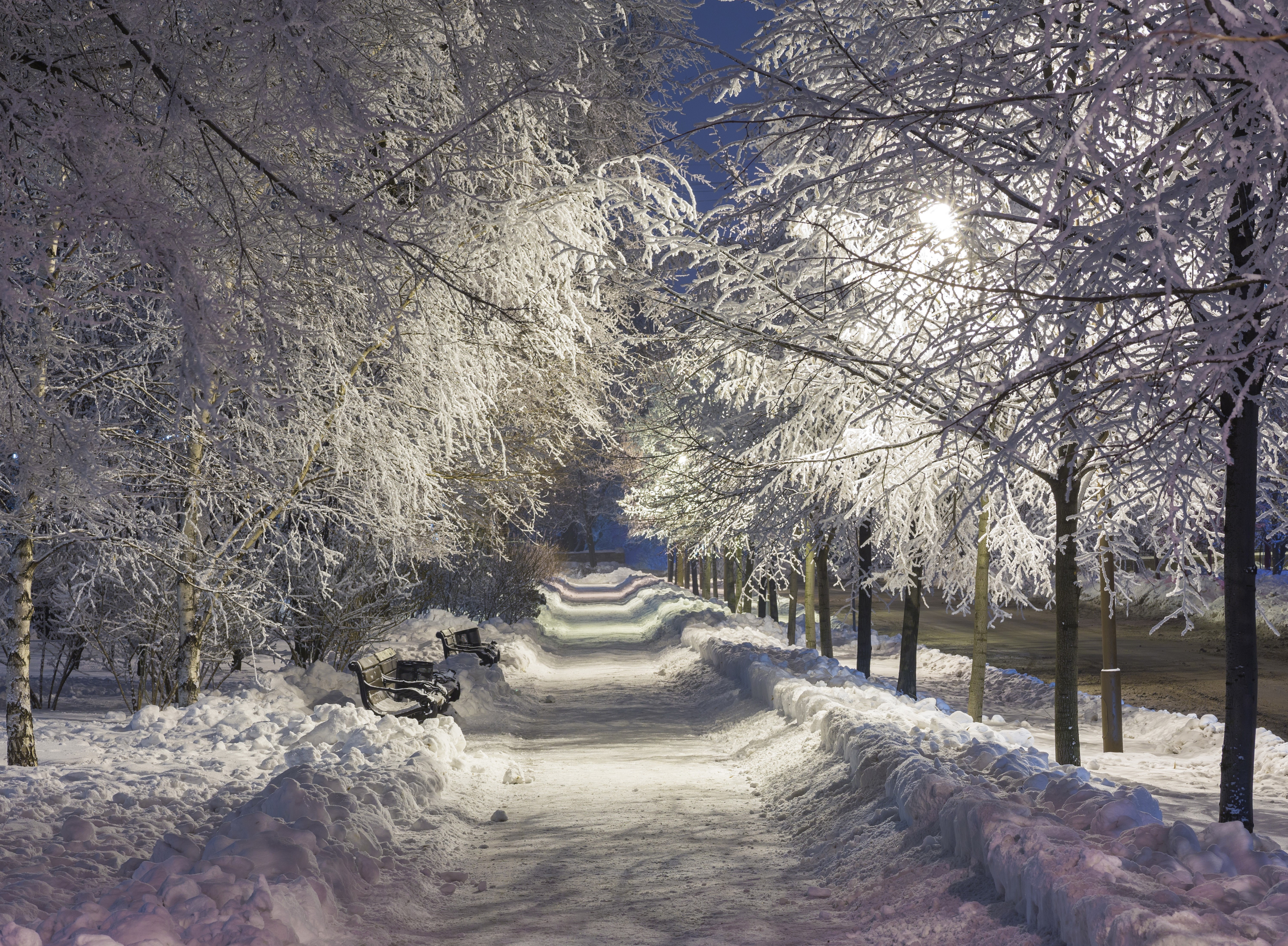 Snowy park avenue at night with street lights HD Wallpaper