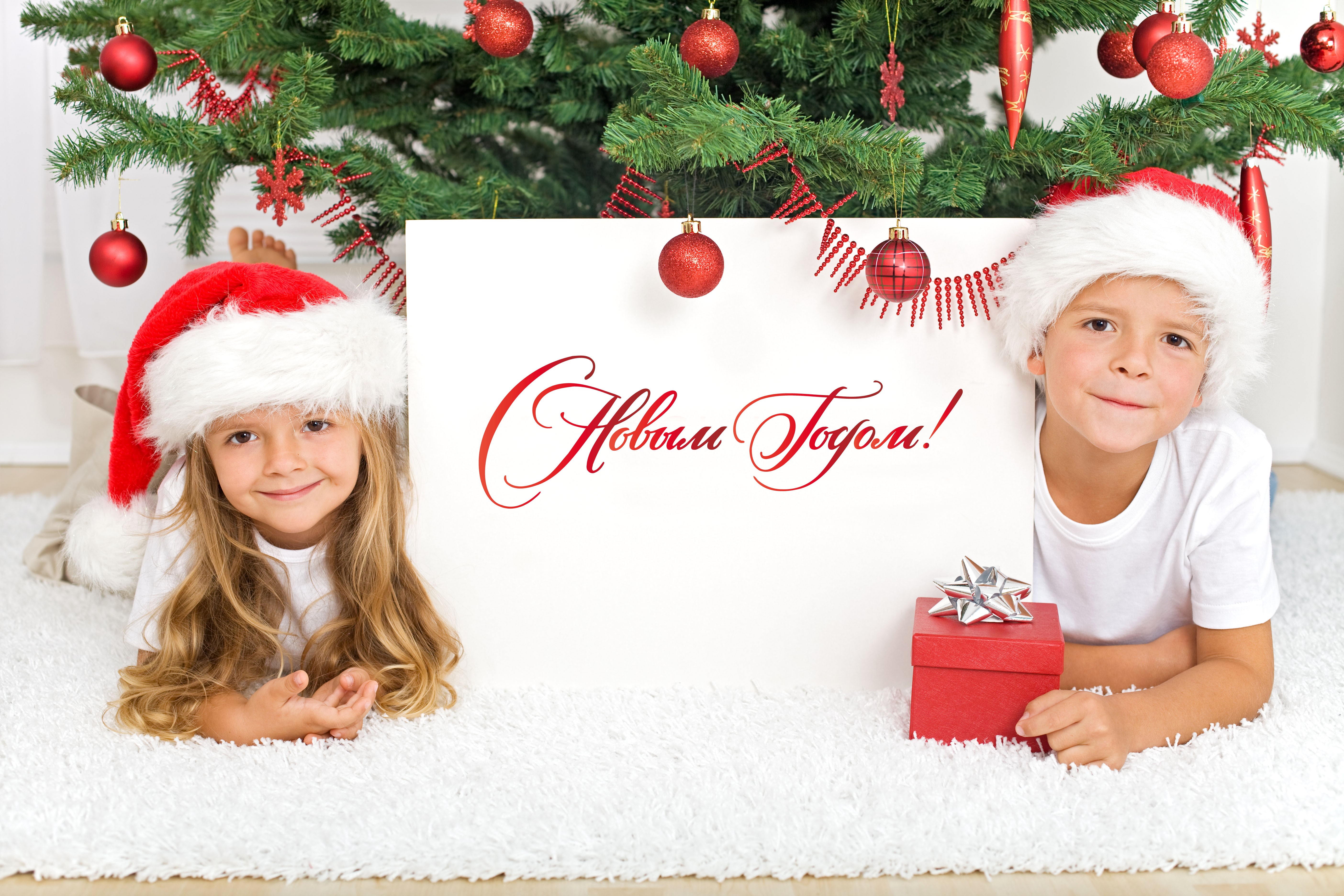 Children in Santa hats with Christmas tree and sign HD Wallpaper
