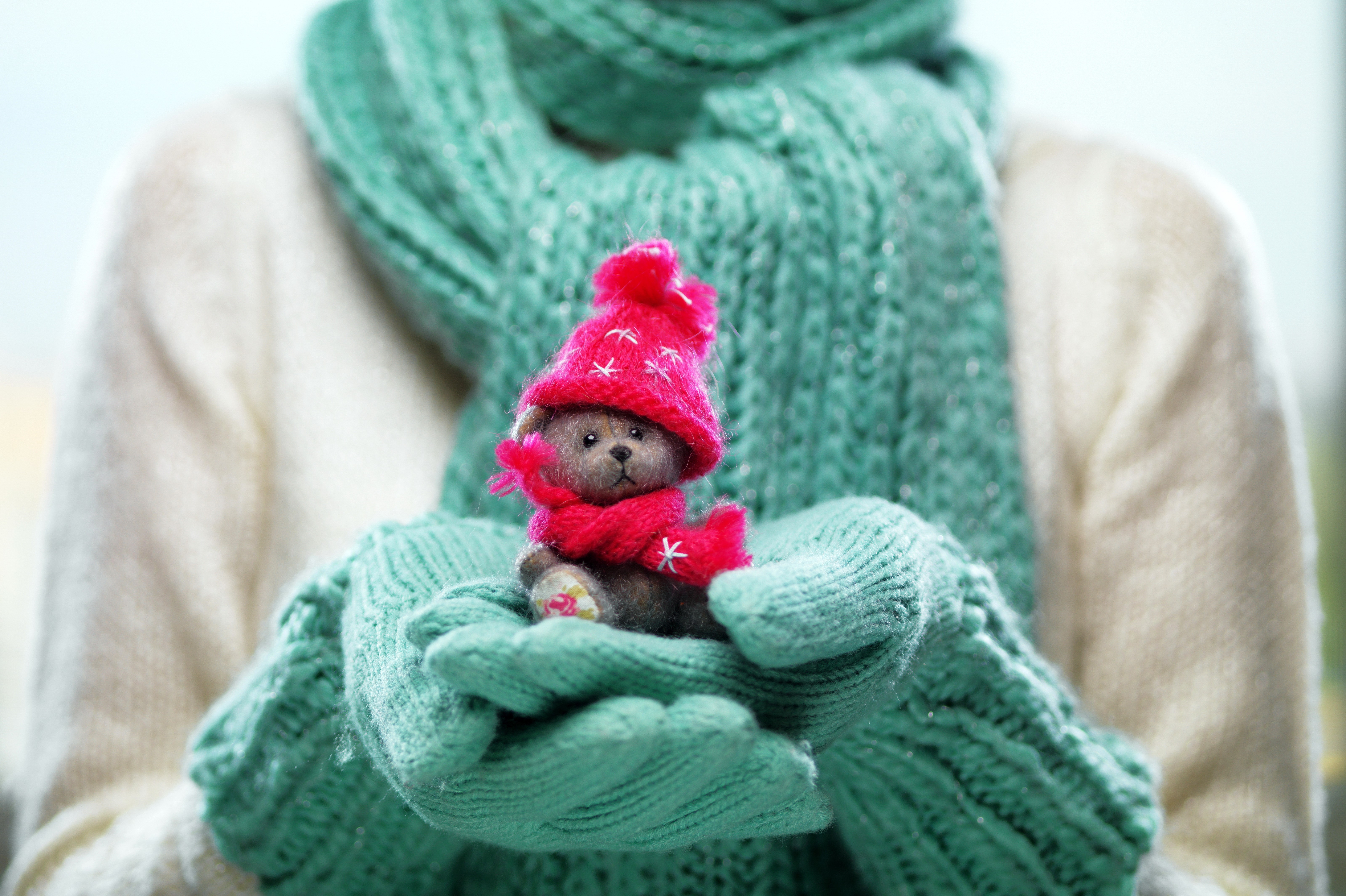 Teddy bear in winter clothes held by hands HD Wallpaper