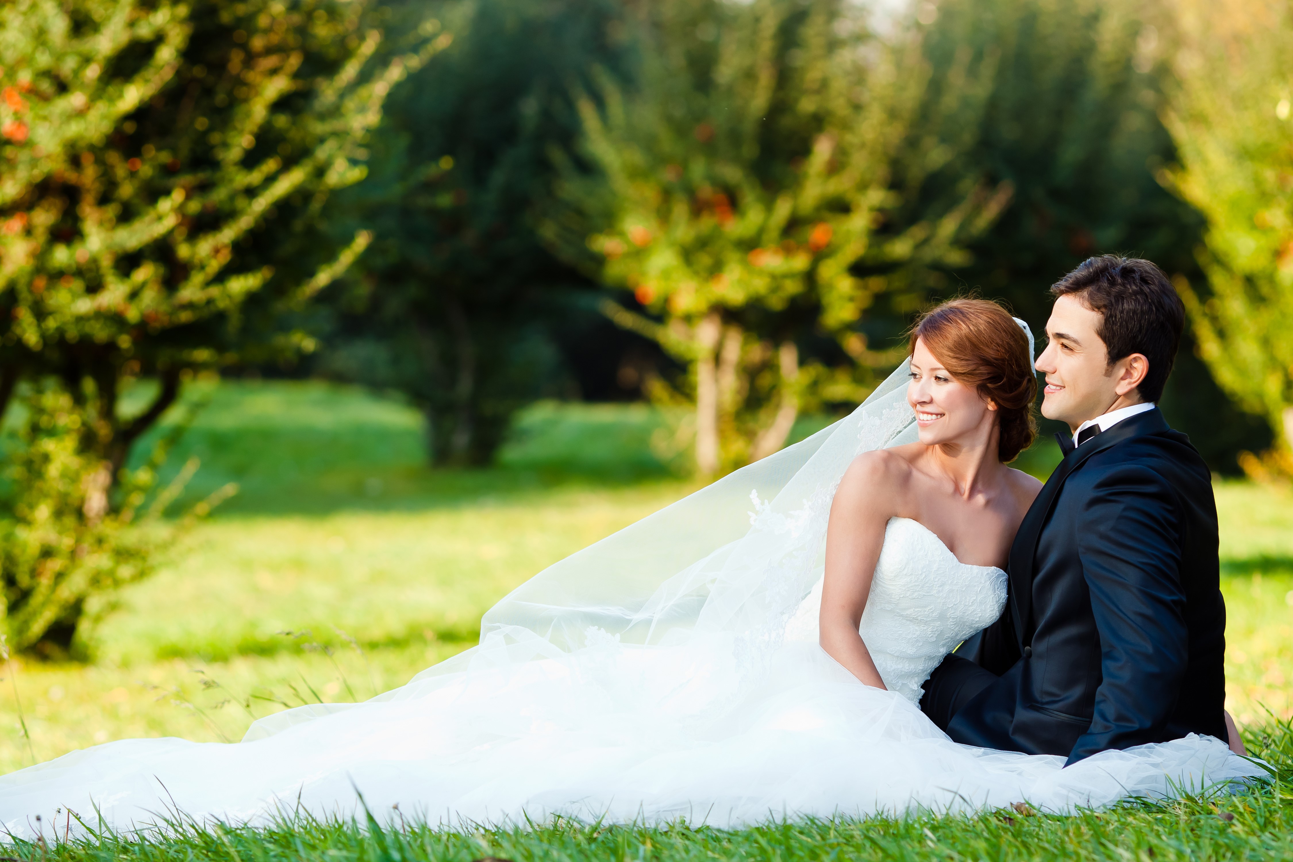 Wedding couple sitting on grass in park HD Wallpaper
