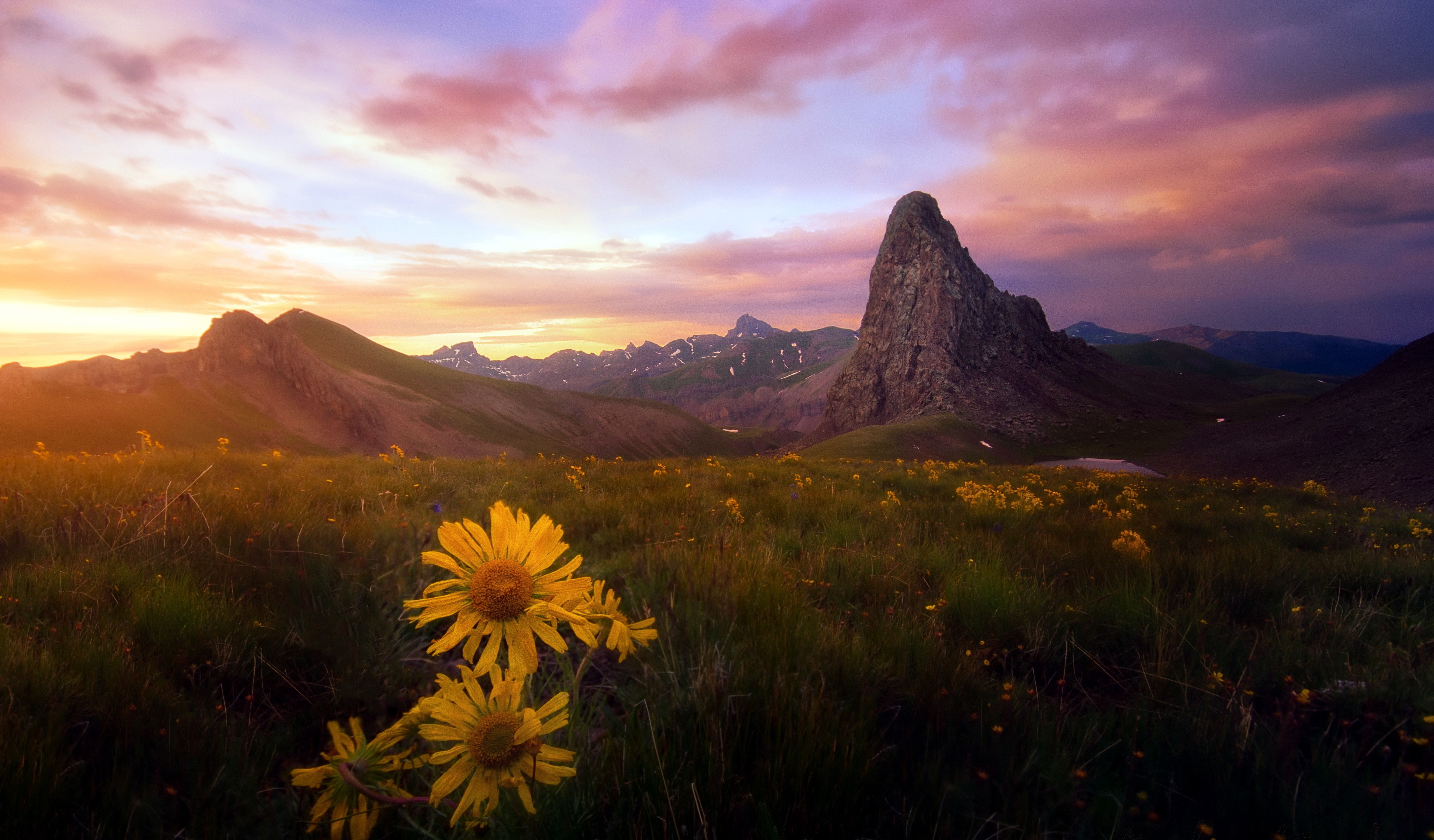 4K Mountain Sunrise with Wildflowers HD Wallpaper