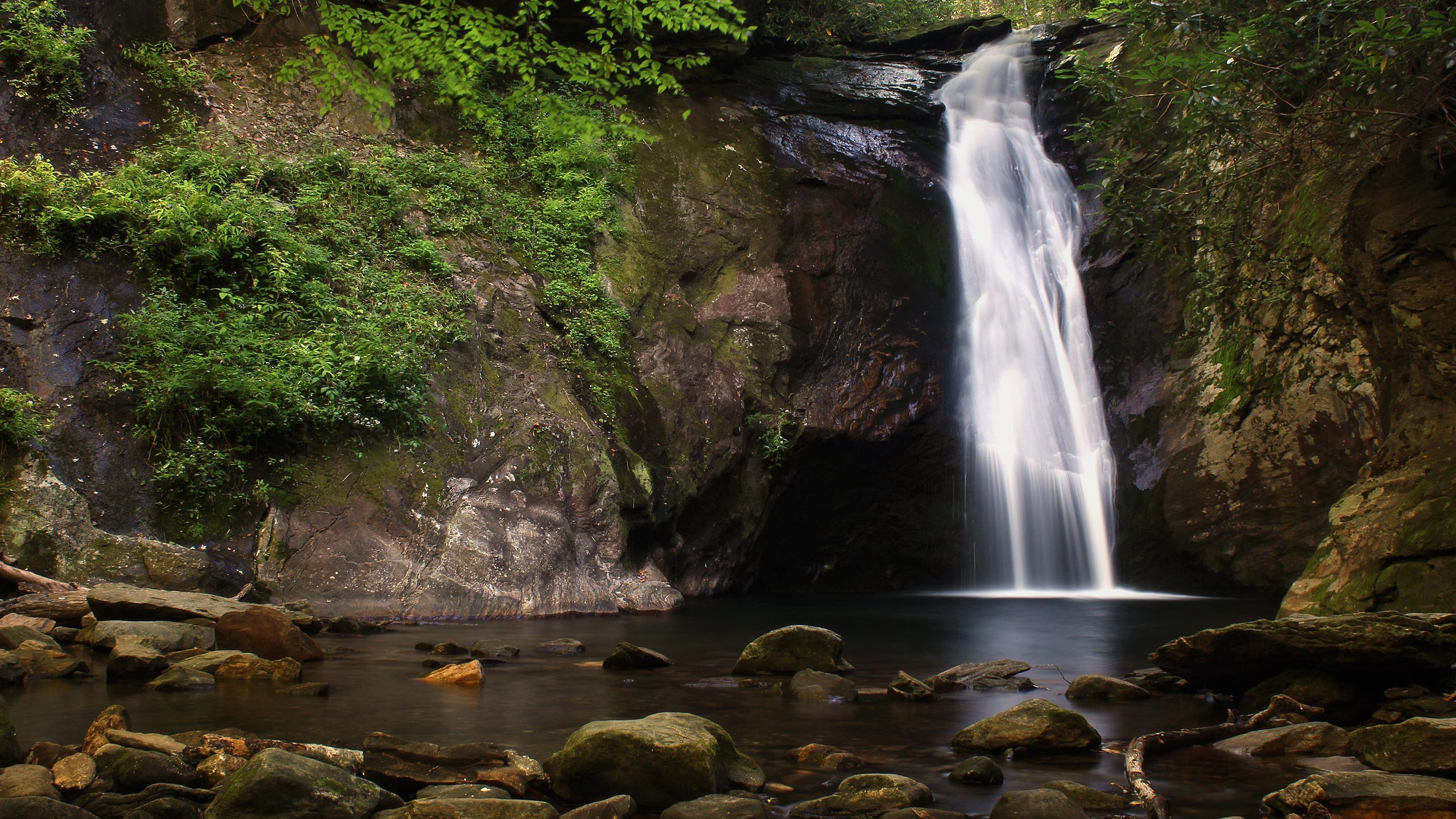 Waterfall cascading into a rocky pool surrounded by greenery HD Wallpaper