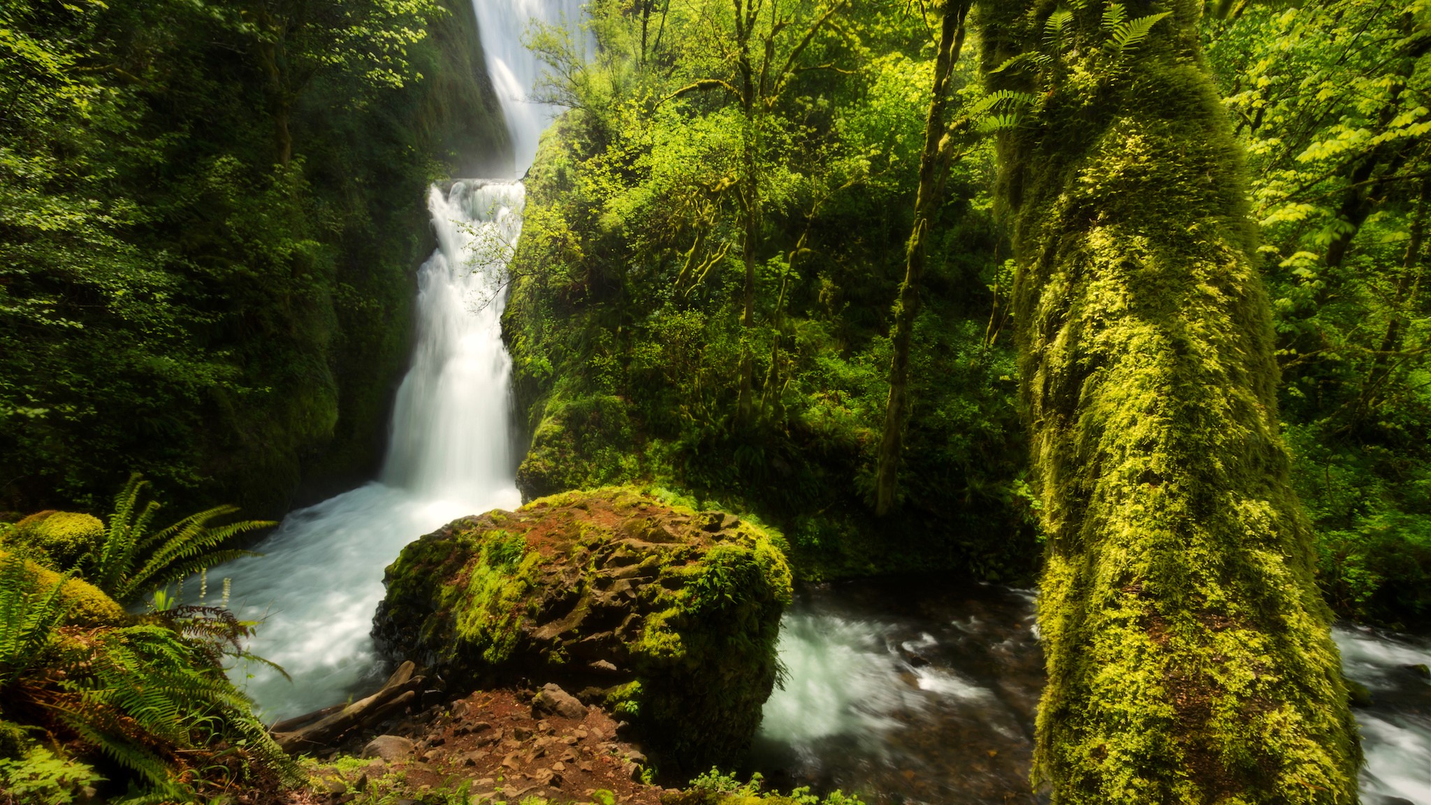 Bridal Veil Falls in Oregon Forest with Mossy Trees HD Wallpaper