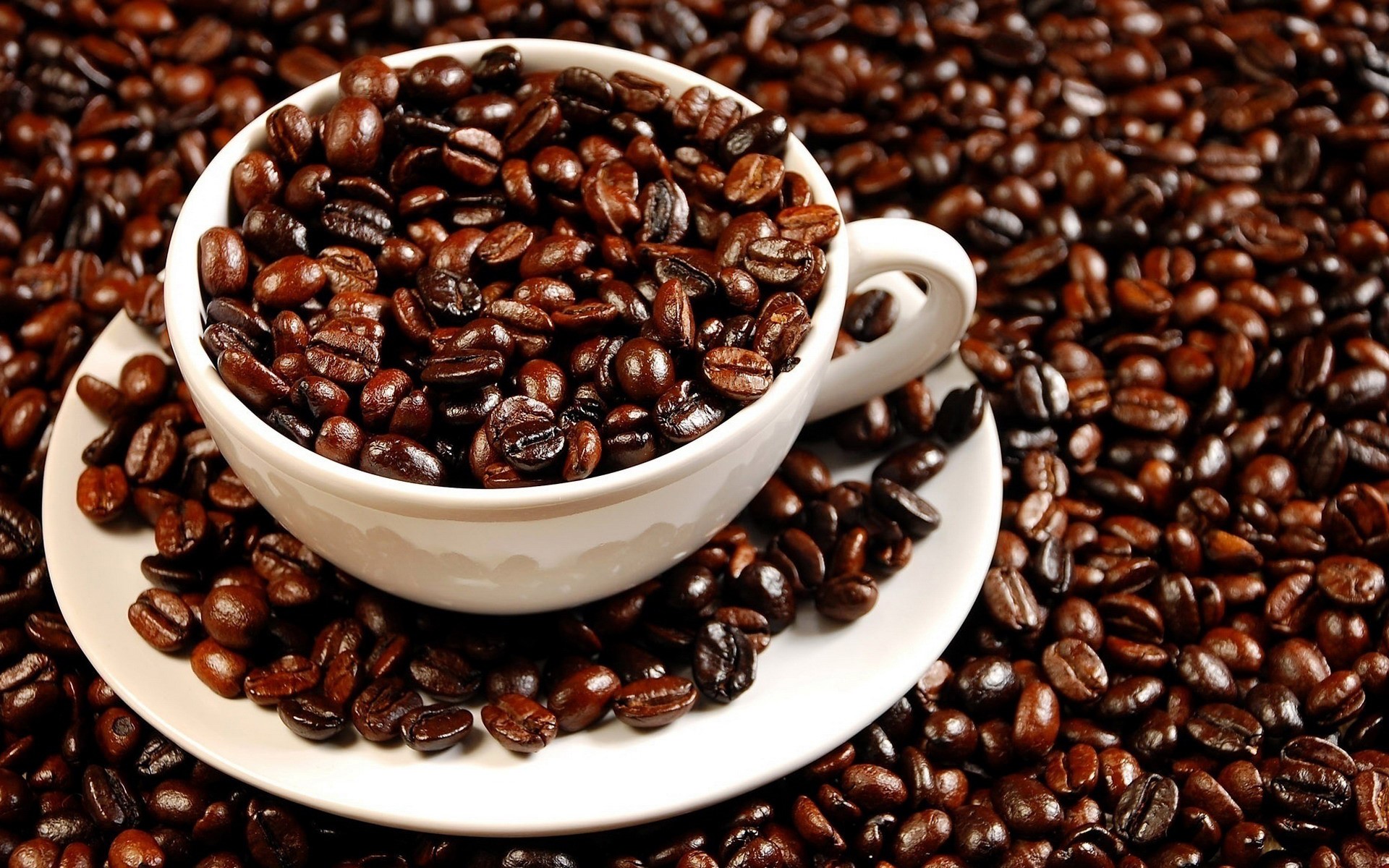 A white cup filled with coffee beans on a saucer surrounded by coffee beans HD Wallpaper