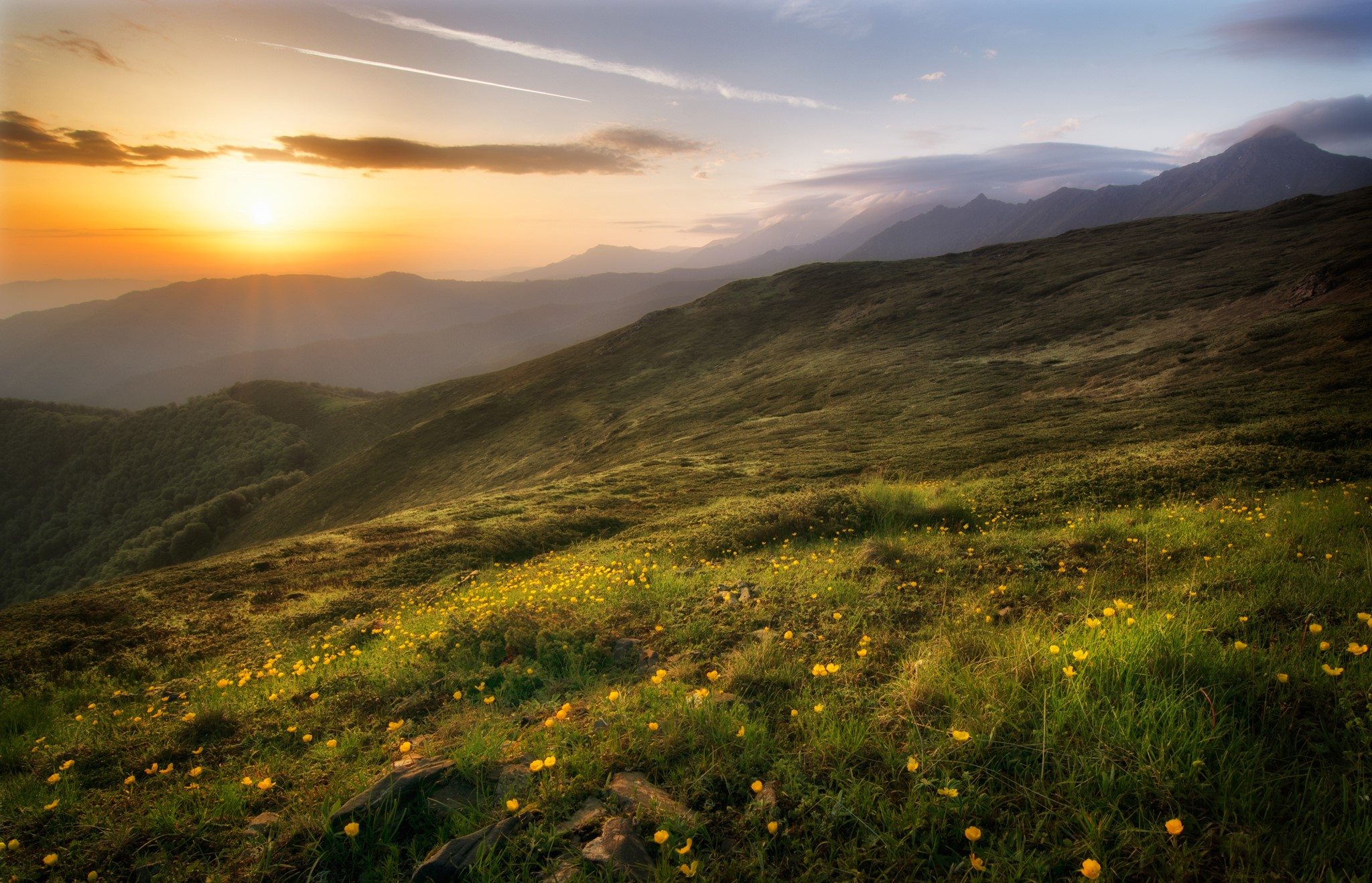 Sunrise over grassy mountains with yellow flowers HD Wallpaper