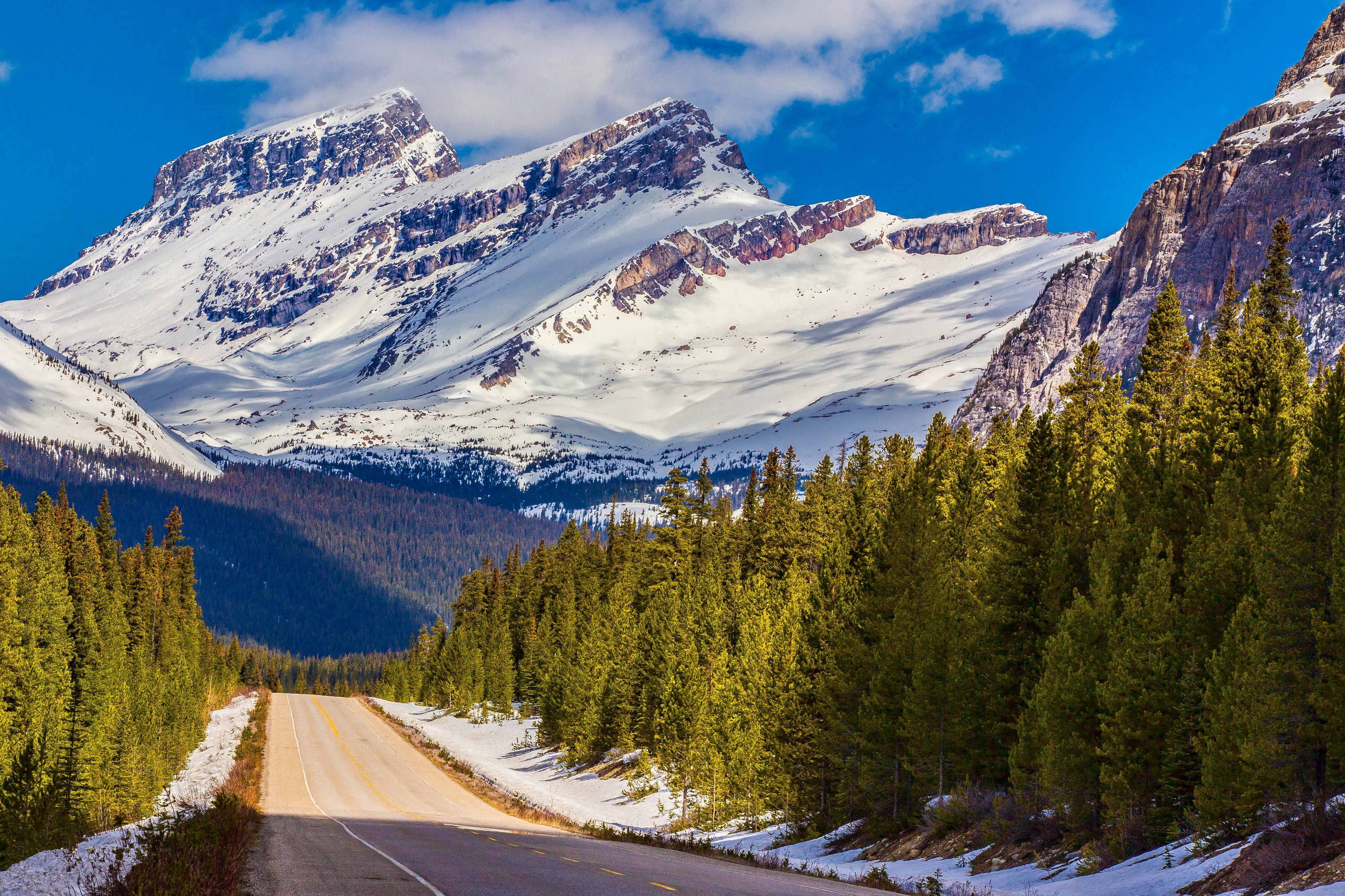 Road through snowy mountains and pine forests in Canada HD Wallpaper