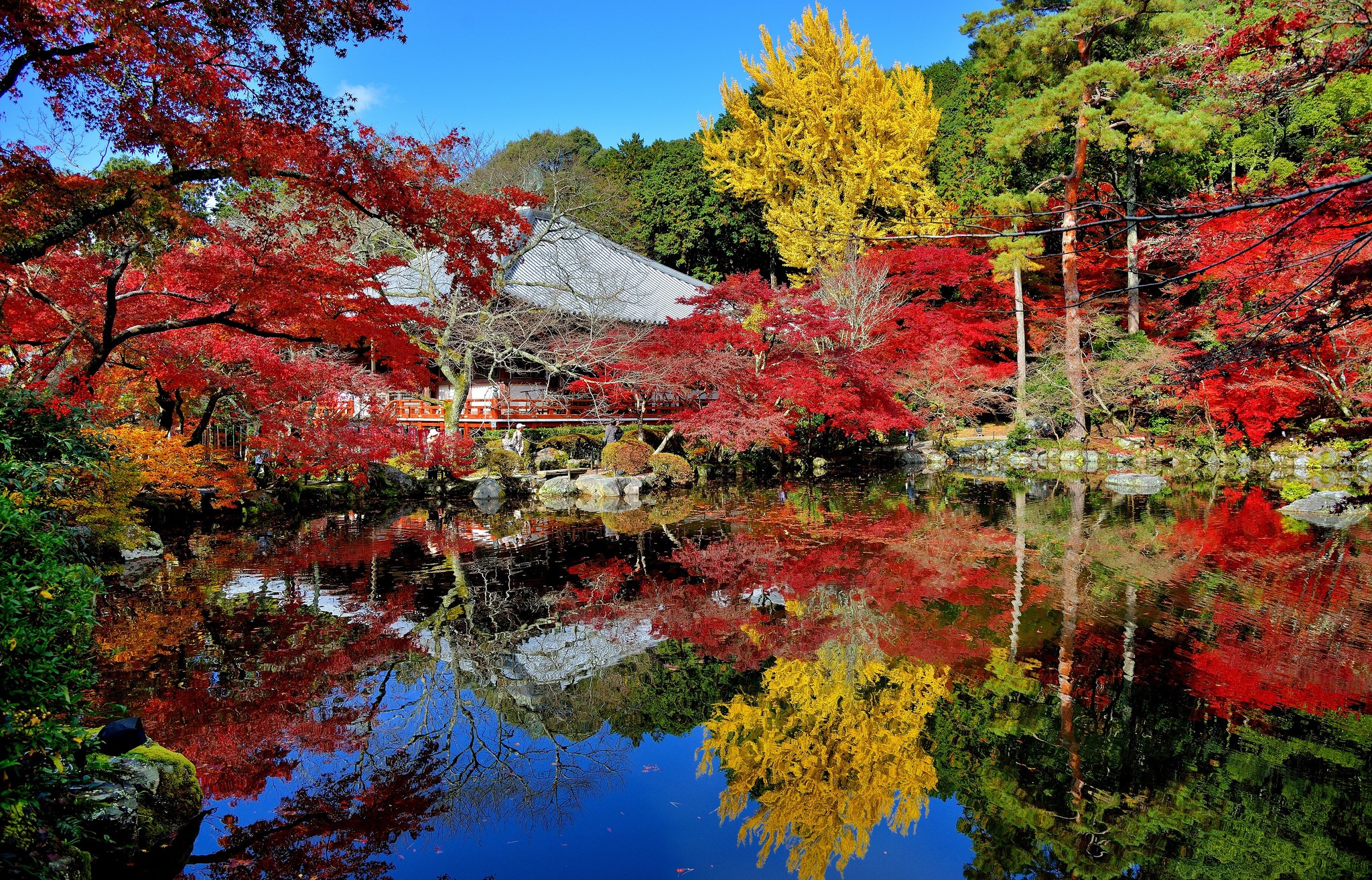 Japanese Garden with Autumn Foliage and Pond Reflection HD Wallpaper