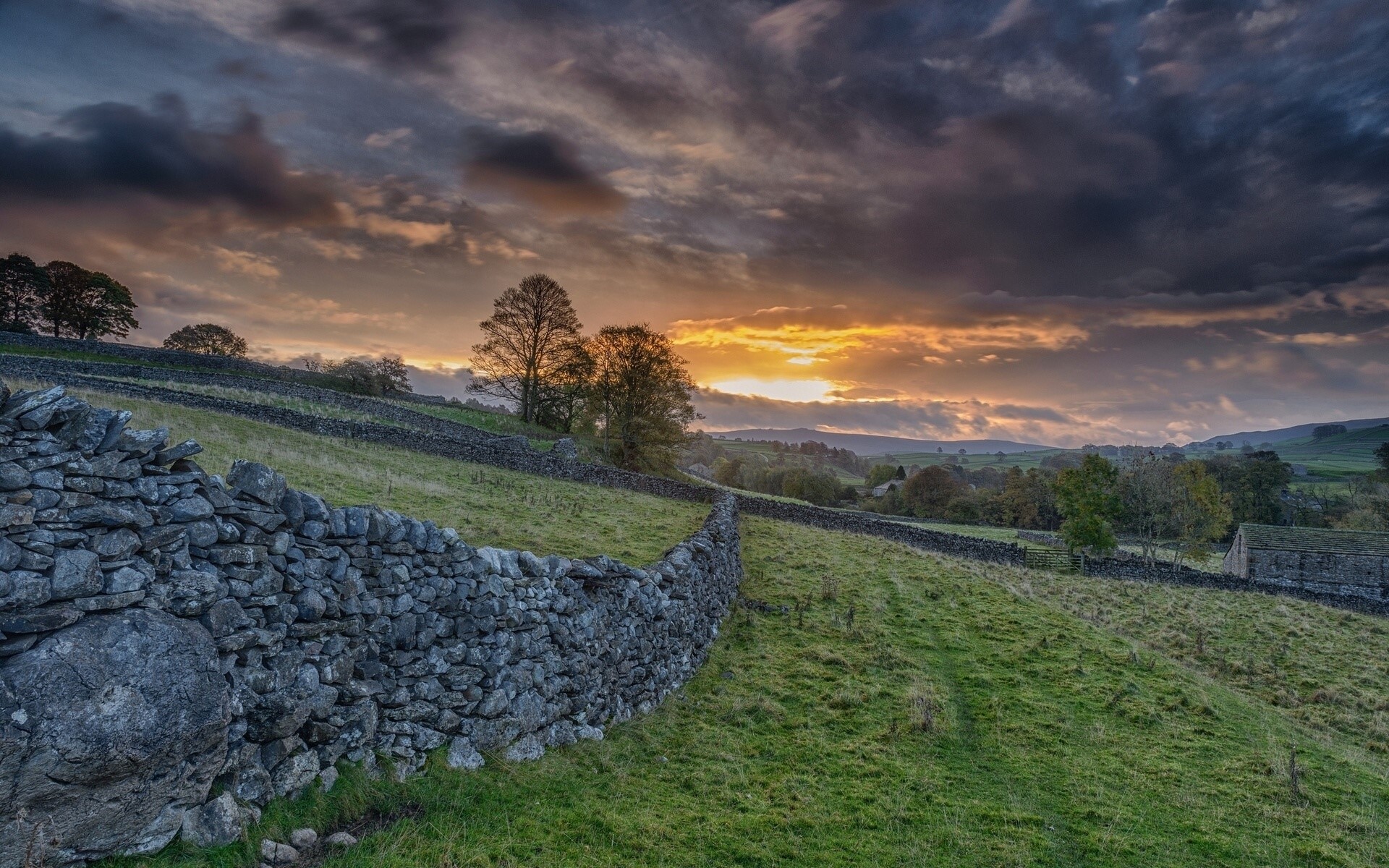 Stone walls in a grassy field at sunset in Grassington, England HD Wallpaper