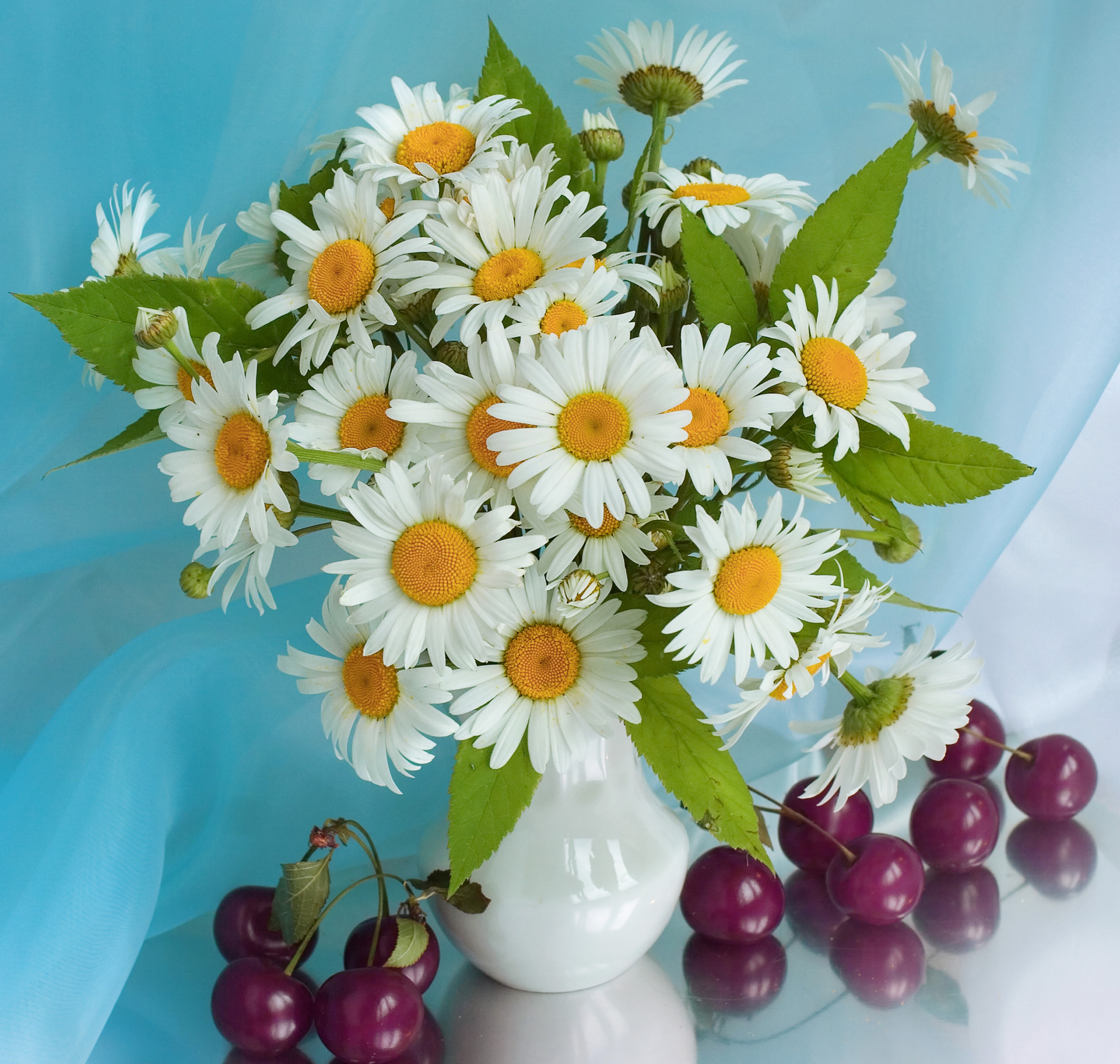 Bouquet of Camomiles and Cherries in a Vase HD Wallpaper
