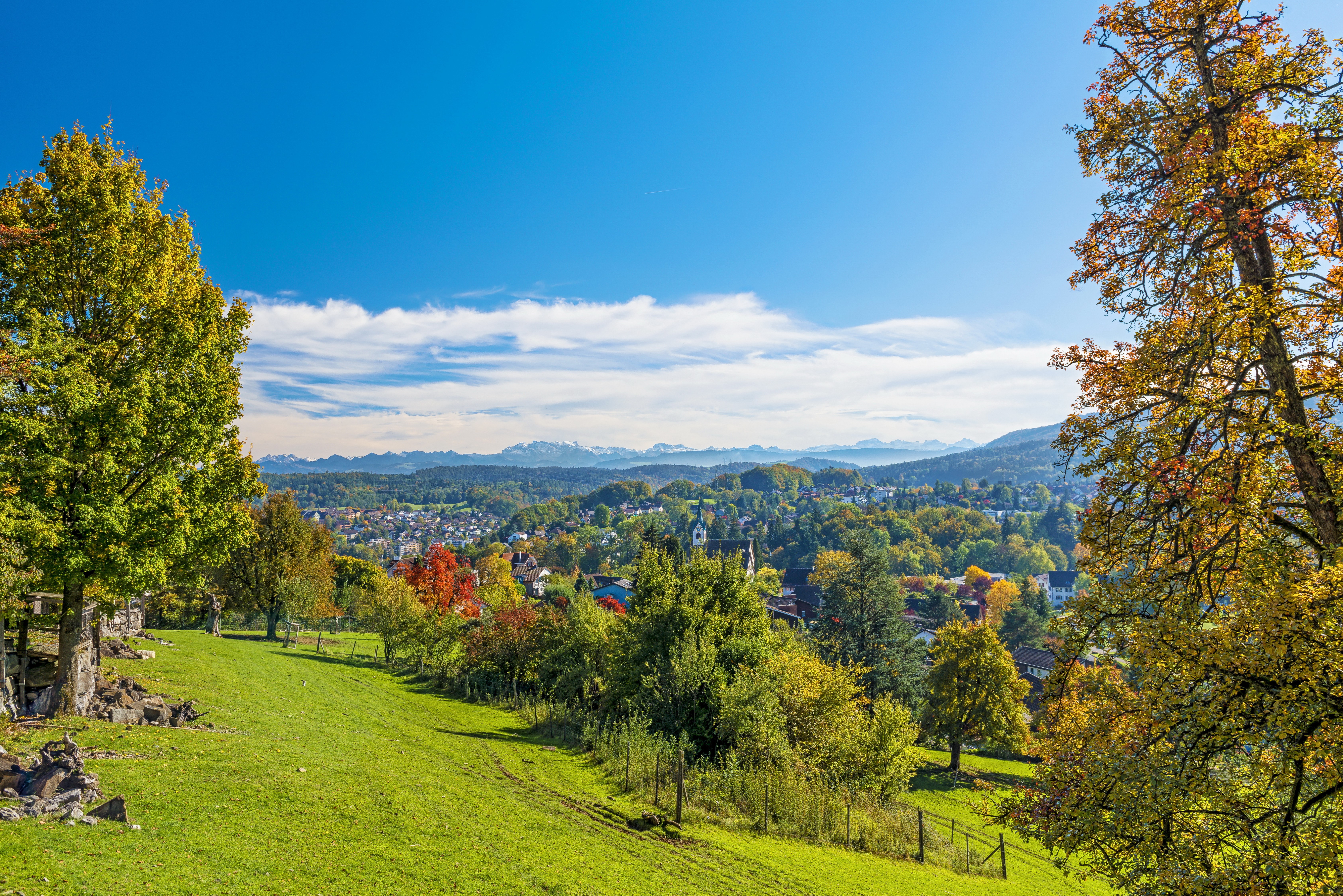 Langnau Am Albis Canton, Switzerland Scenery with Houses and Trees HD Wallpaper