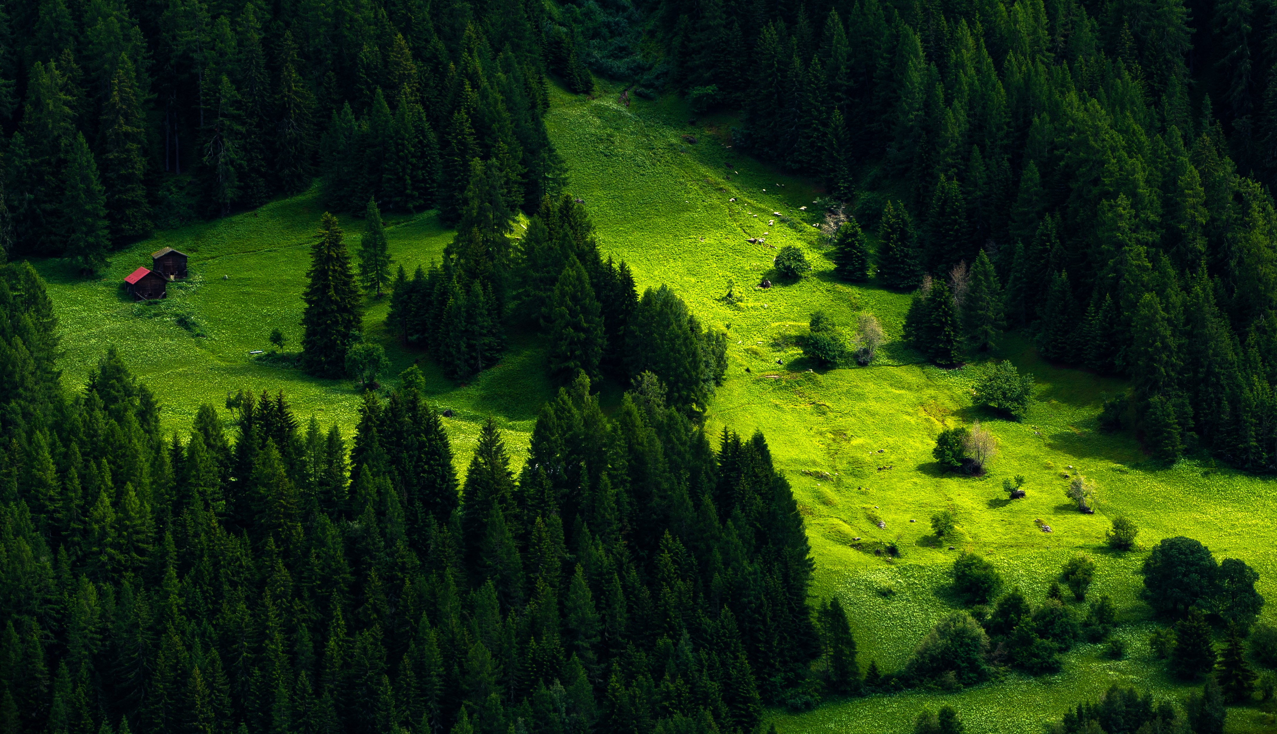 4K Switzerland Forest and Grasslands with Cabins HD Wallpaper