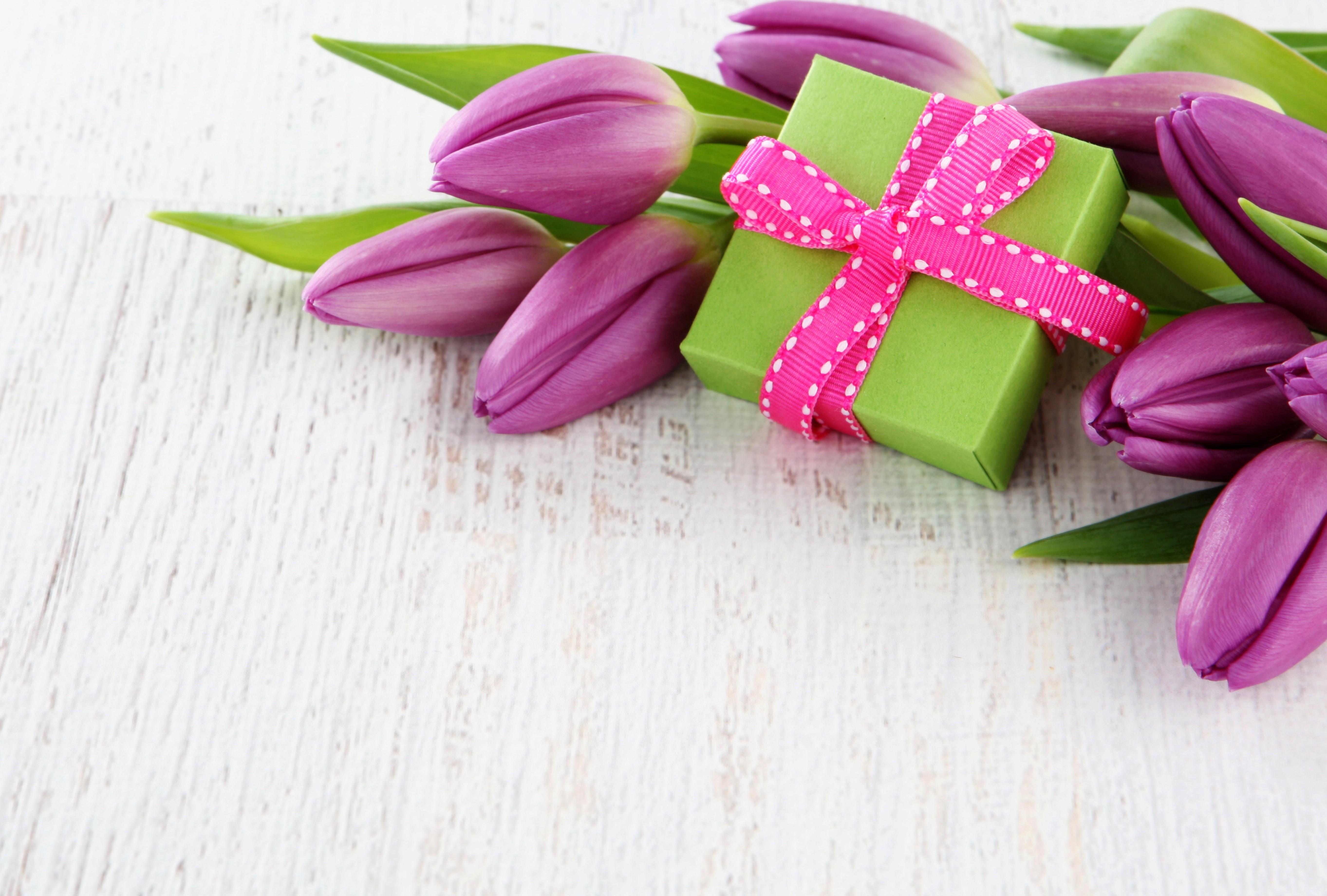 Purple Tulips and a Green Gift Box HD Wallpaper