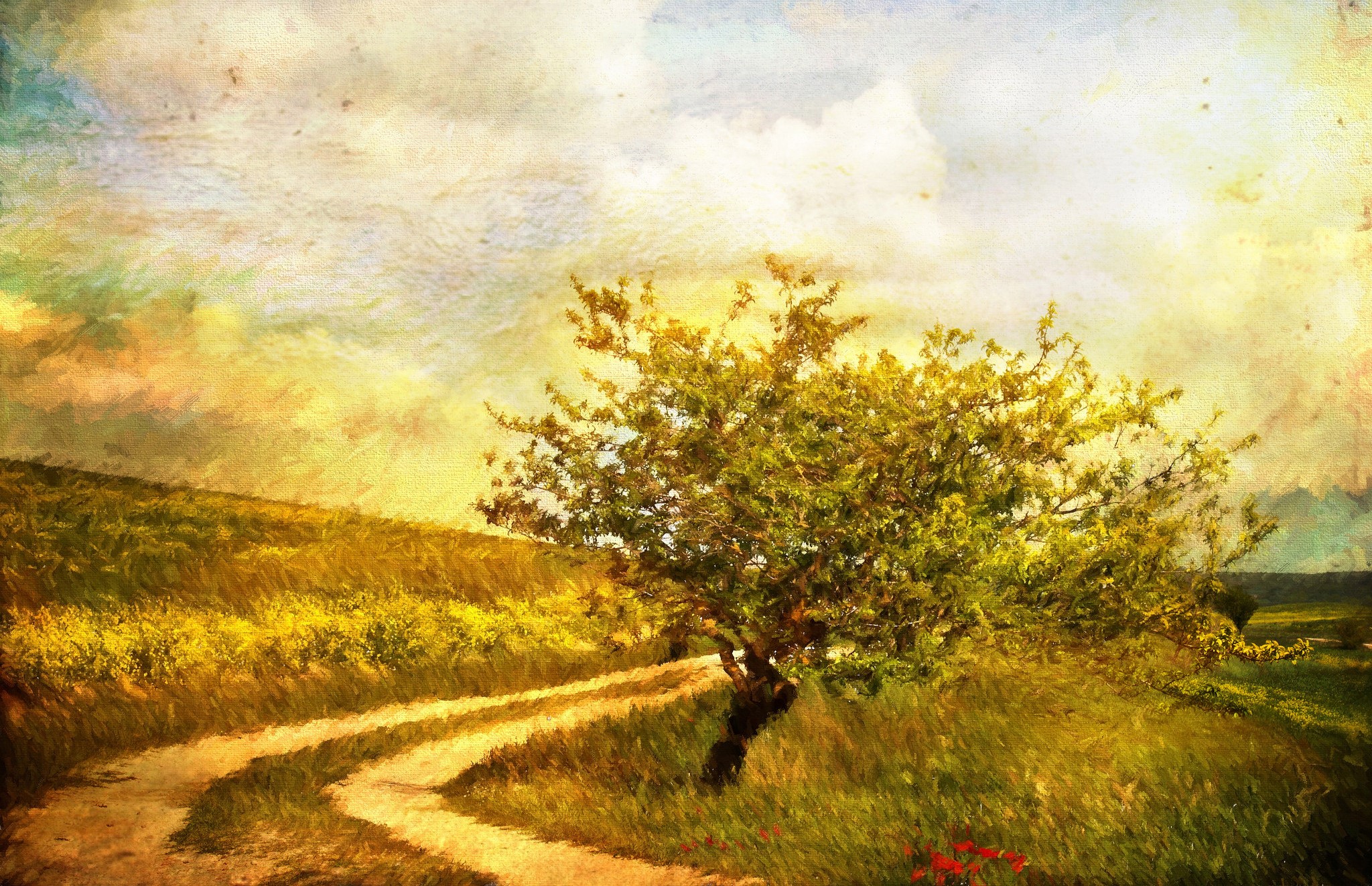 Dirt road winding through a grassy hill with a tree HD Wallpaper