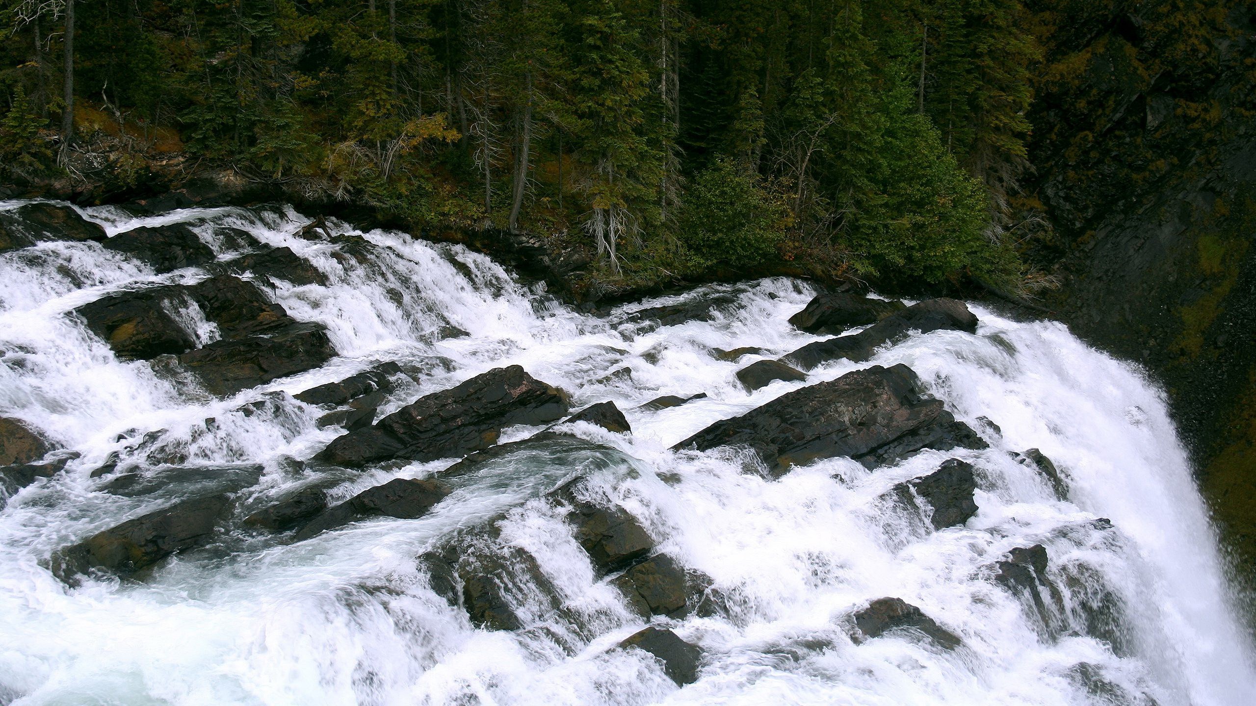 Waterfall cascading over dark rocks with evergreen forest HD Wallpaper