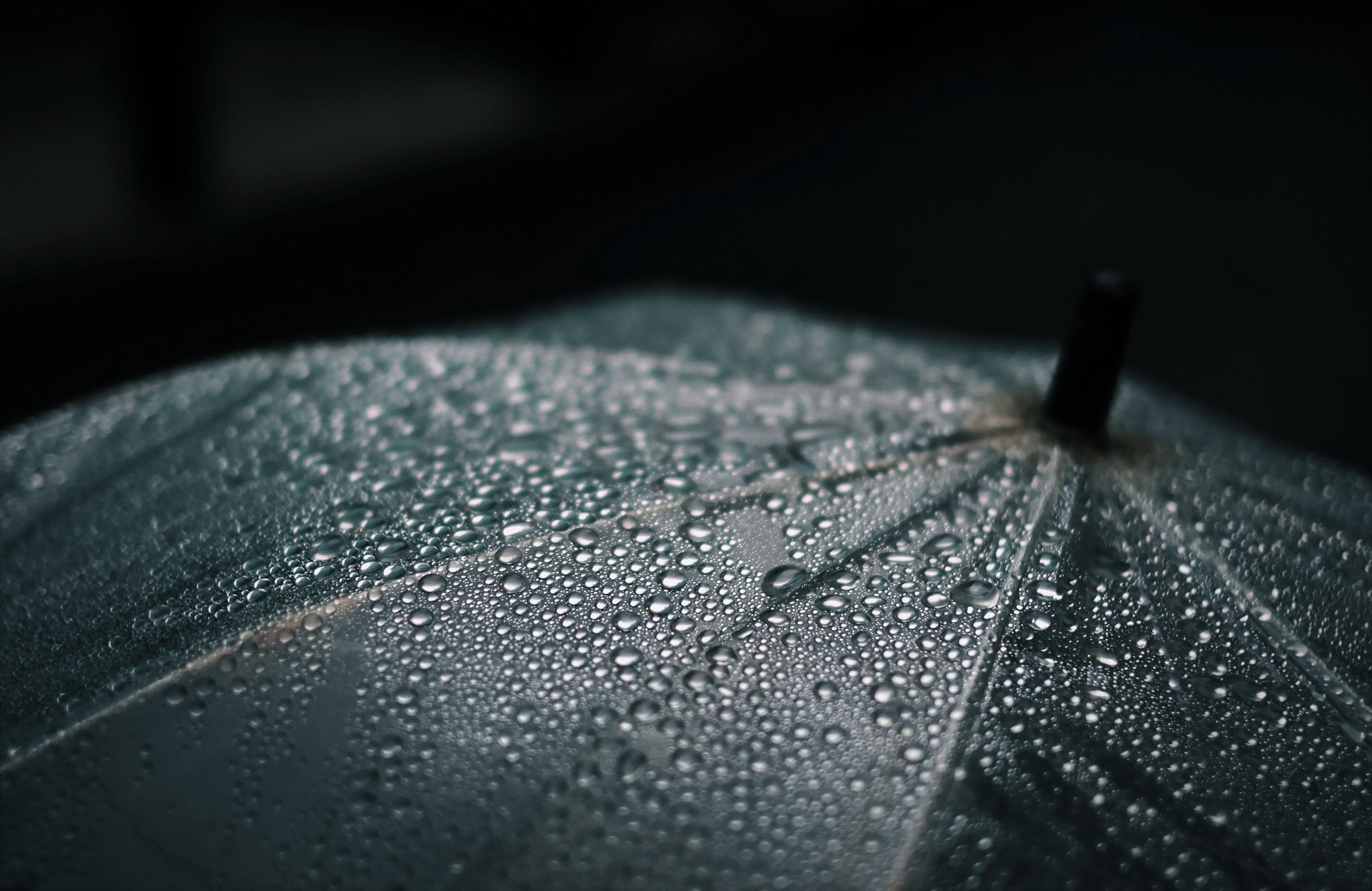 Close-up of an umbrella with water drops HD Wallpaper