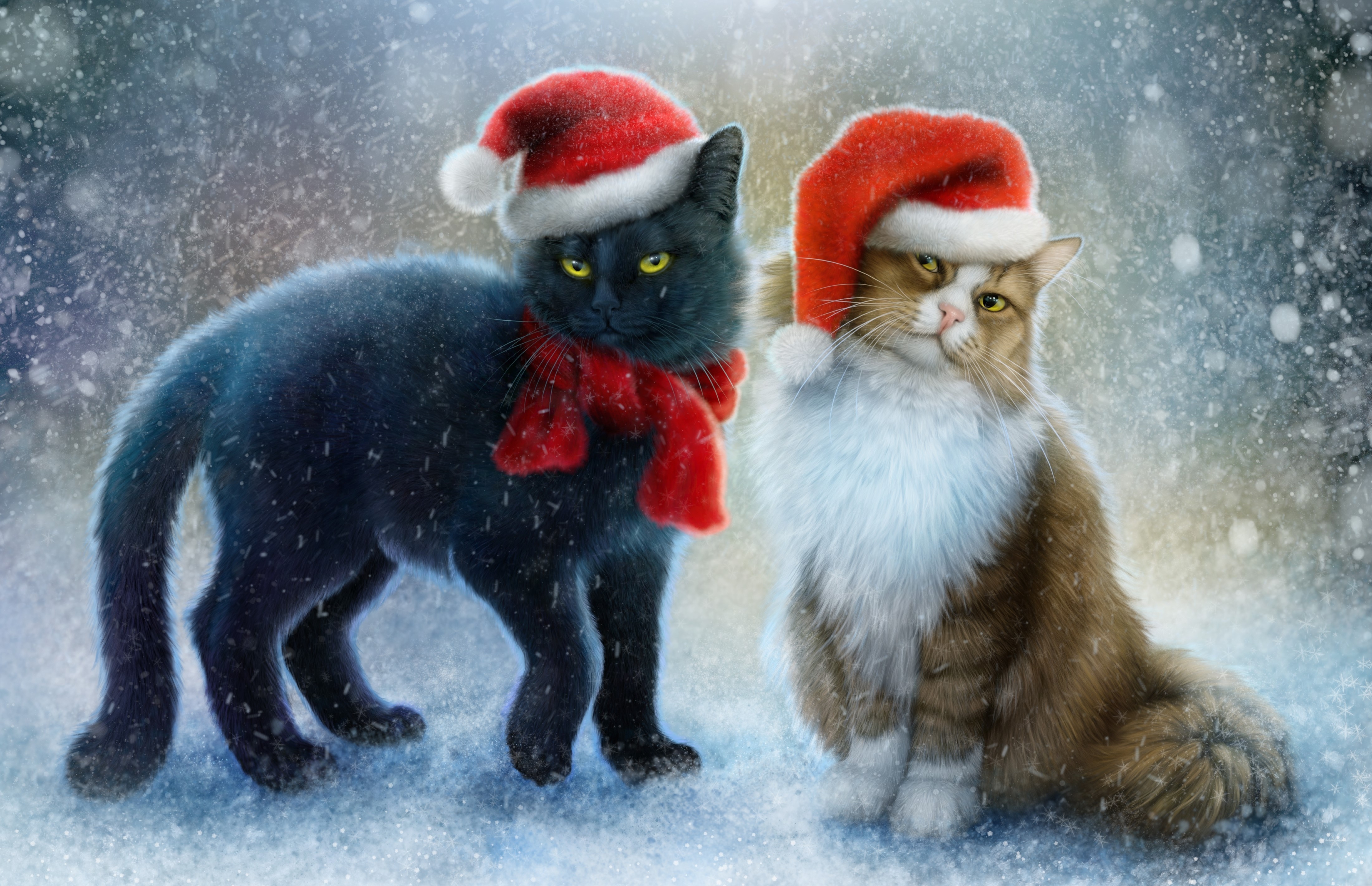 Two cats in Santa hats in the snow HD Wallpaper
