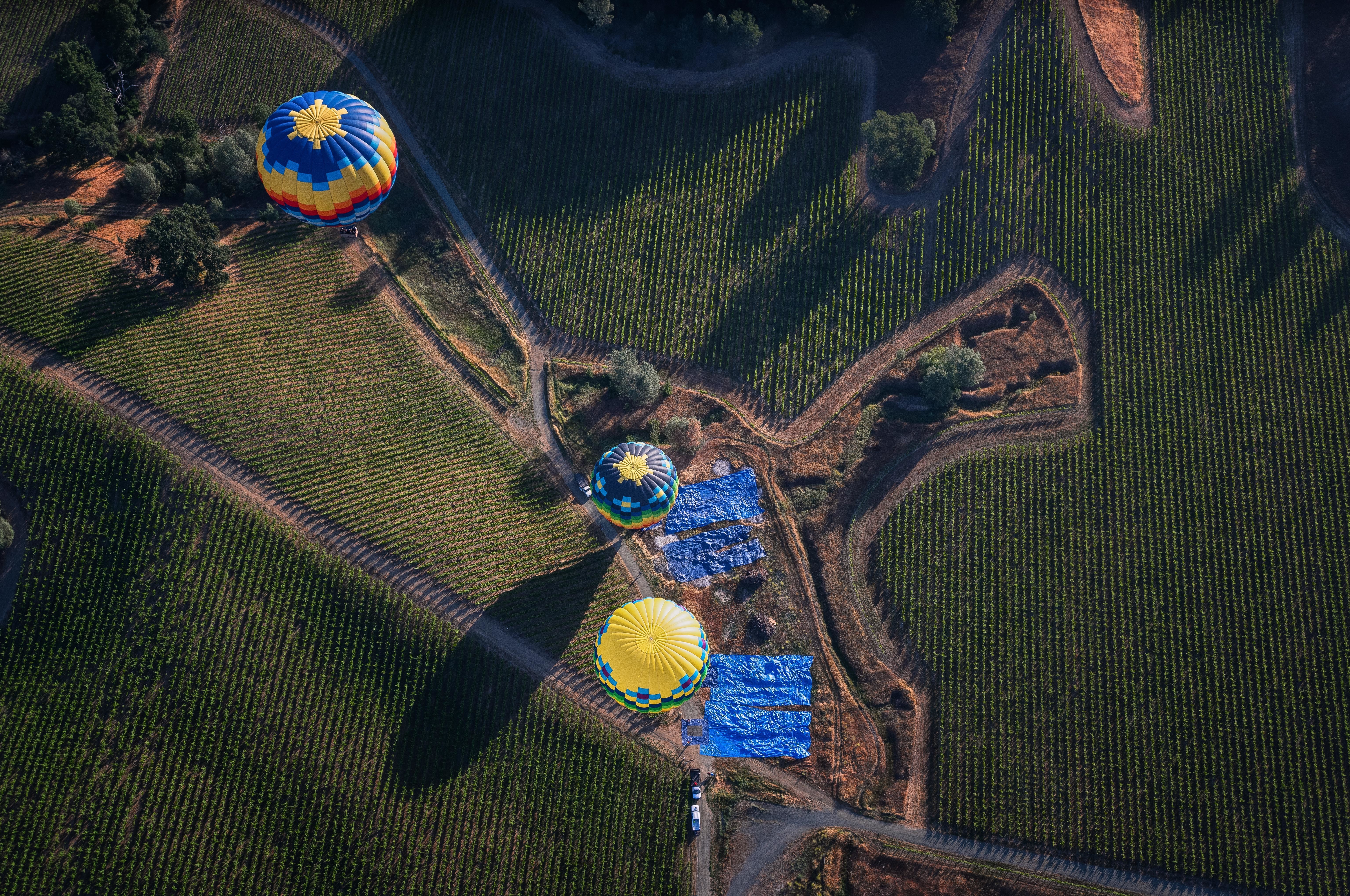 Hot air balloons over vineyards from above HD Wallpaper