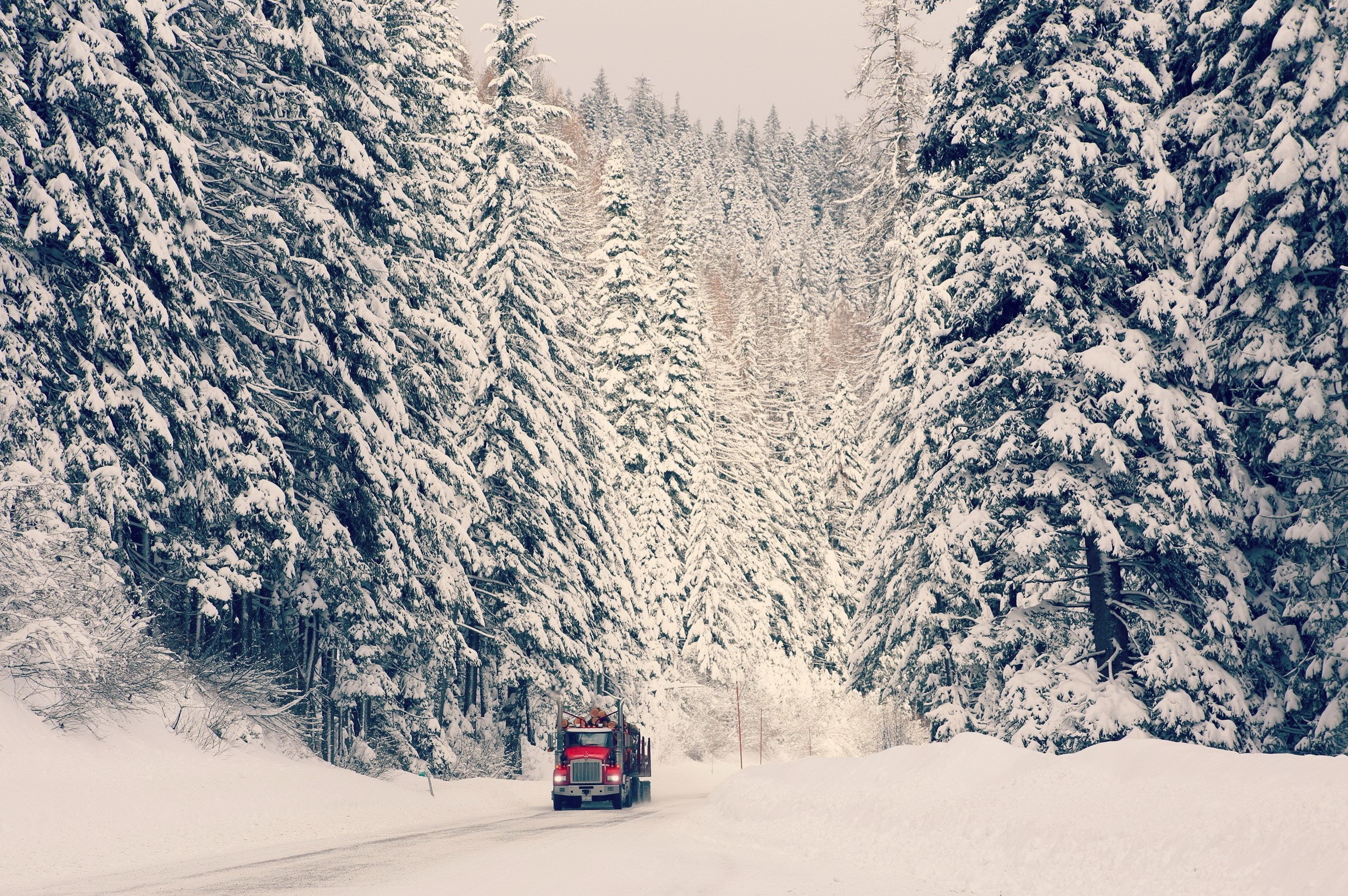 Red truck driving on a snowy road through a forest HD Wallpaper
