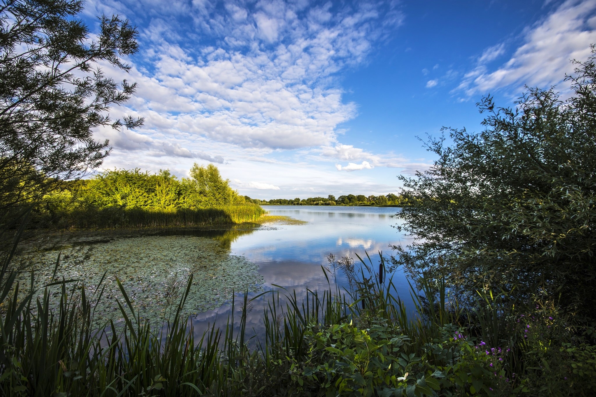 River Great Ouse Cambridgeshire England with blue sky and clouds HD Wallpaper