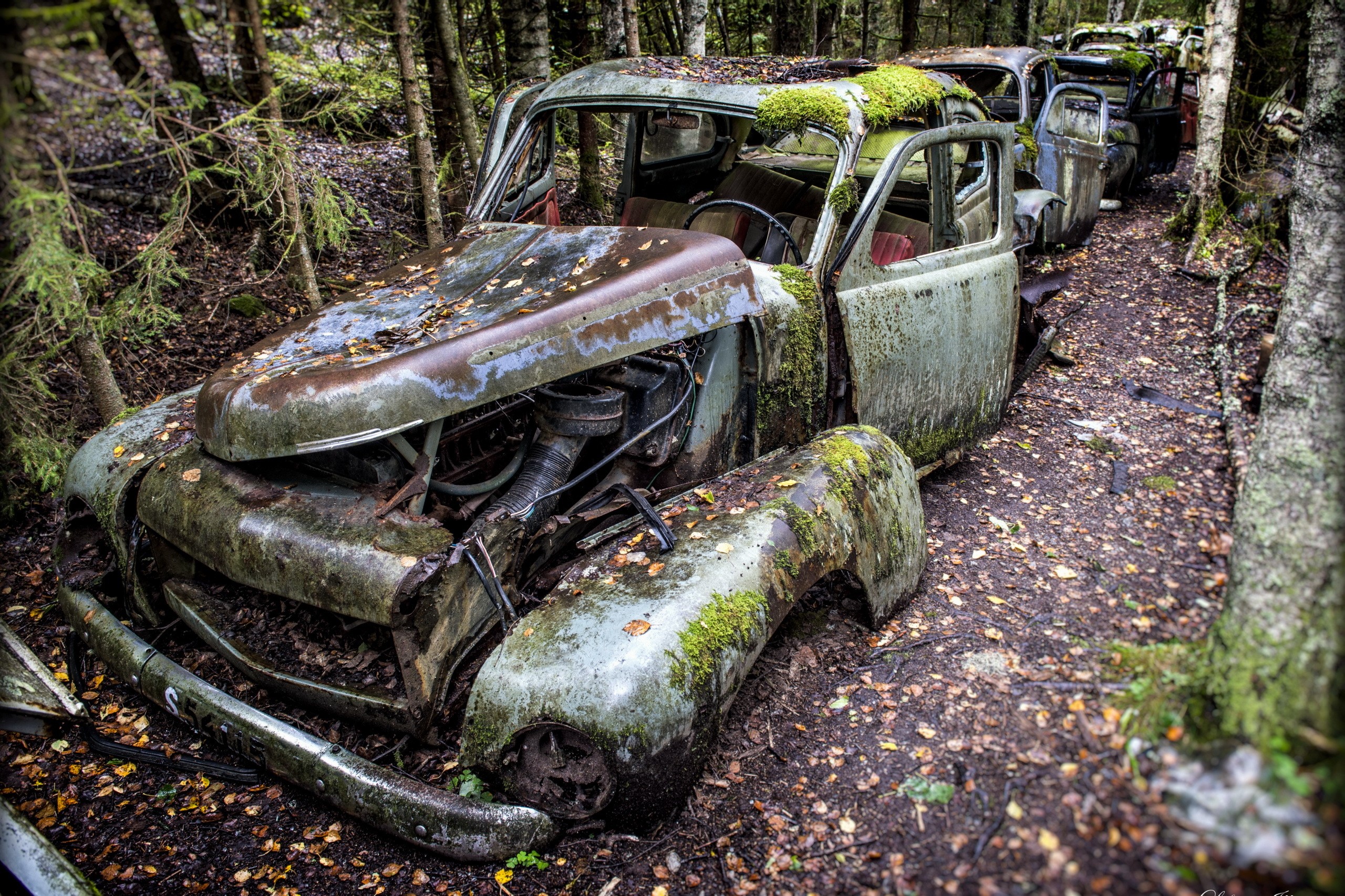 Abandoned cars overgrown with moss in a forest HD Wallpaper