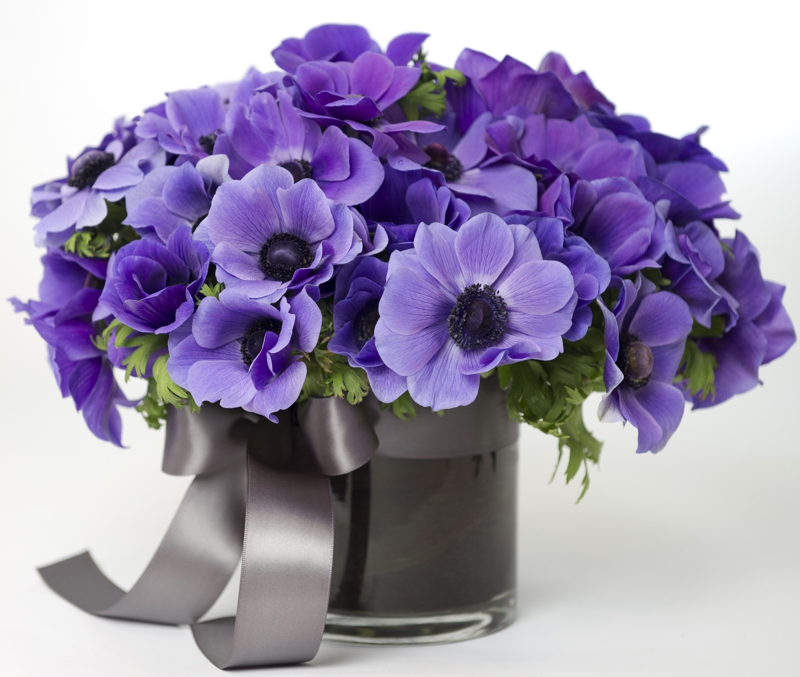 Purple Anemone Bouquet in a Glass Vase with Ribbon HD Wallpaper