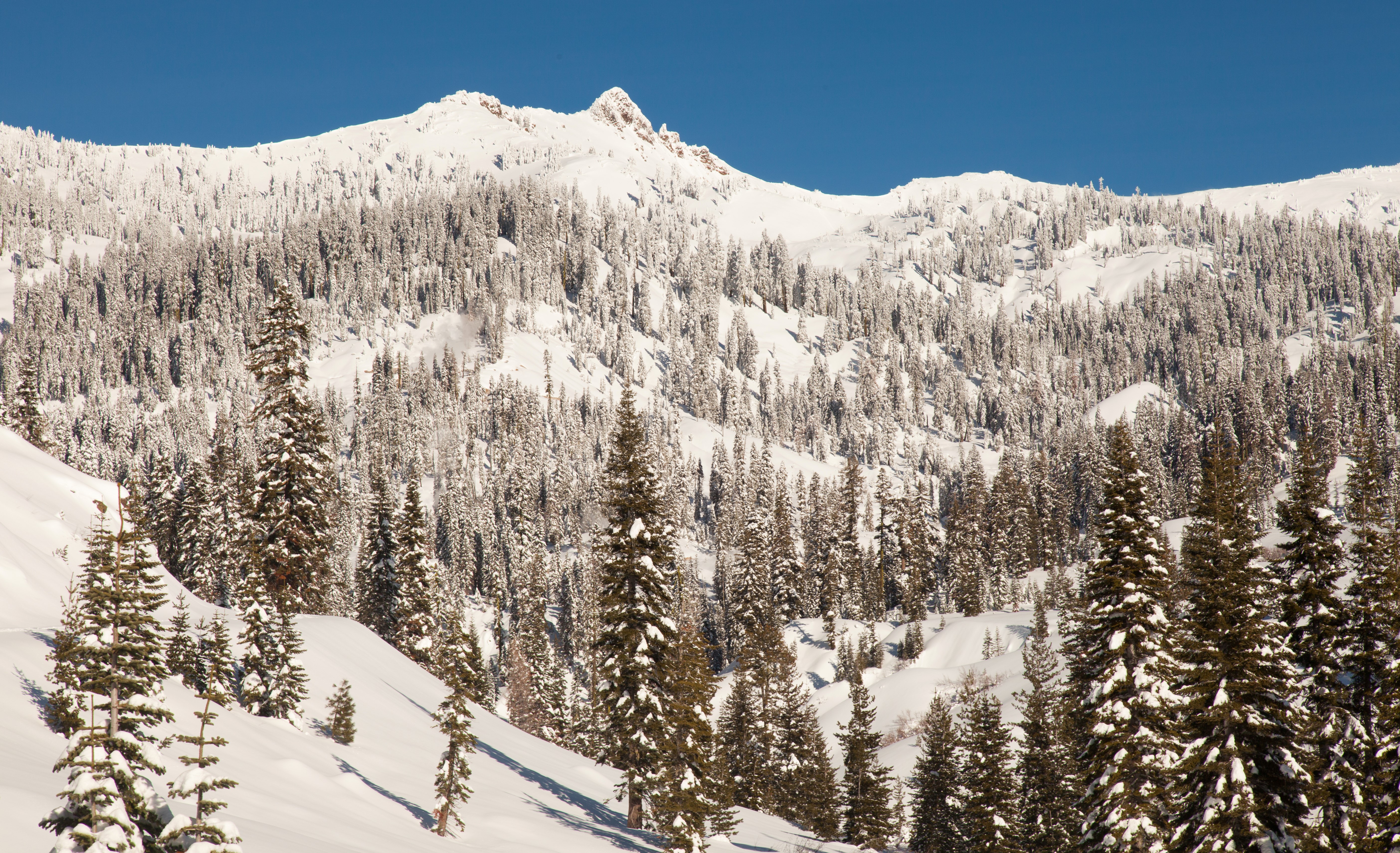 Snowy Mountain Landscape with Trees in Lassen Volcanic National Park HD Wallpaper