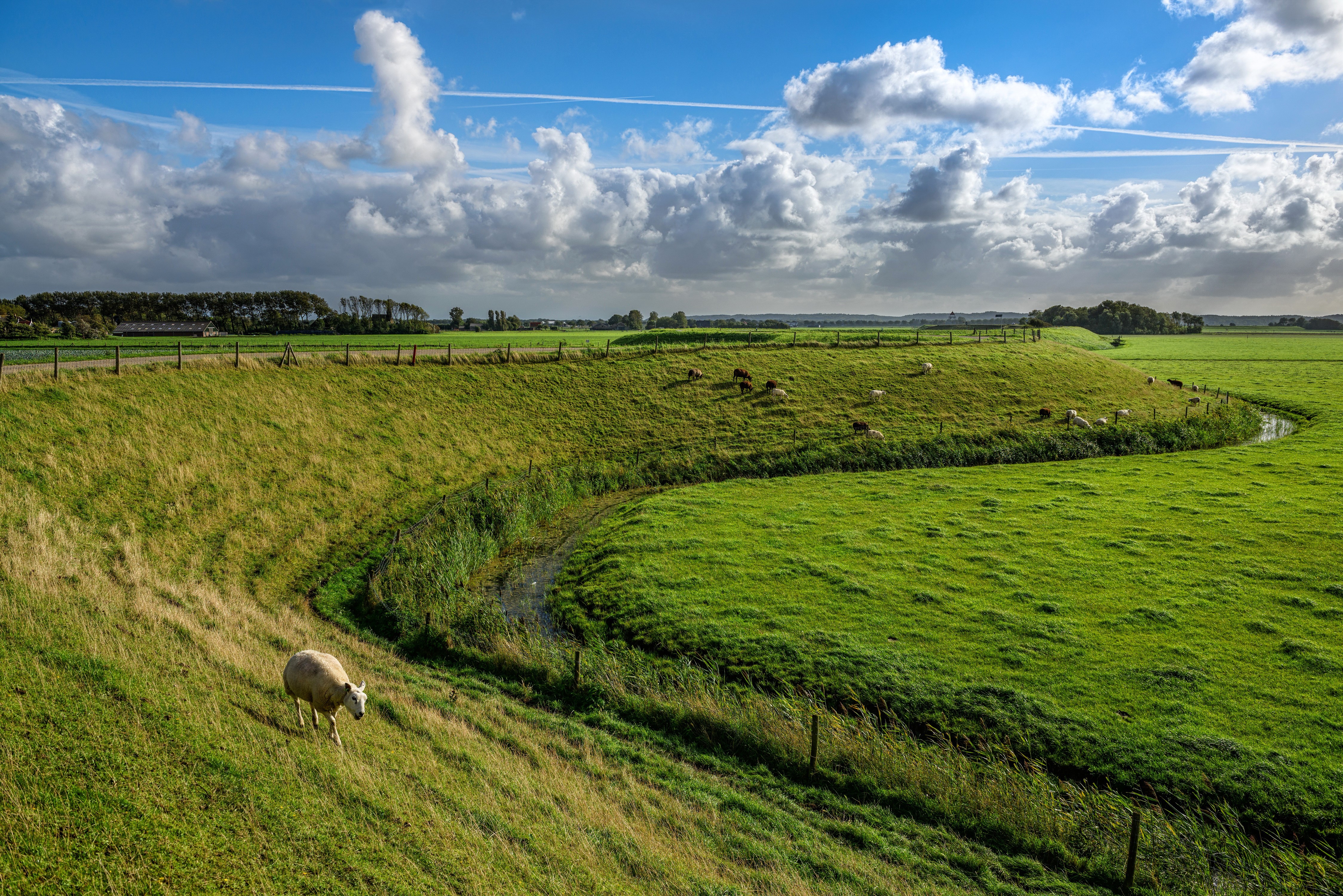 4K Scenery of Grasslands and Sky in the Netherlands HD Wallpaper